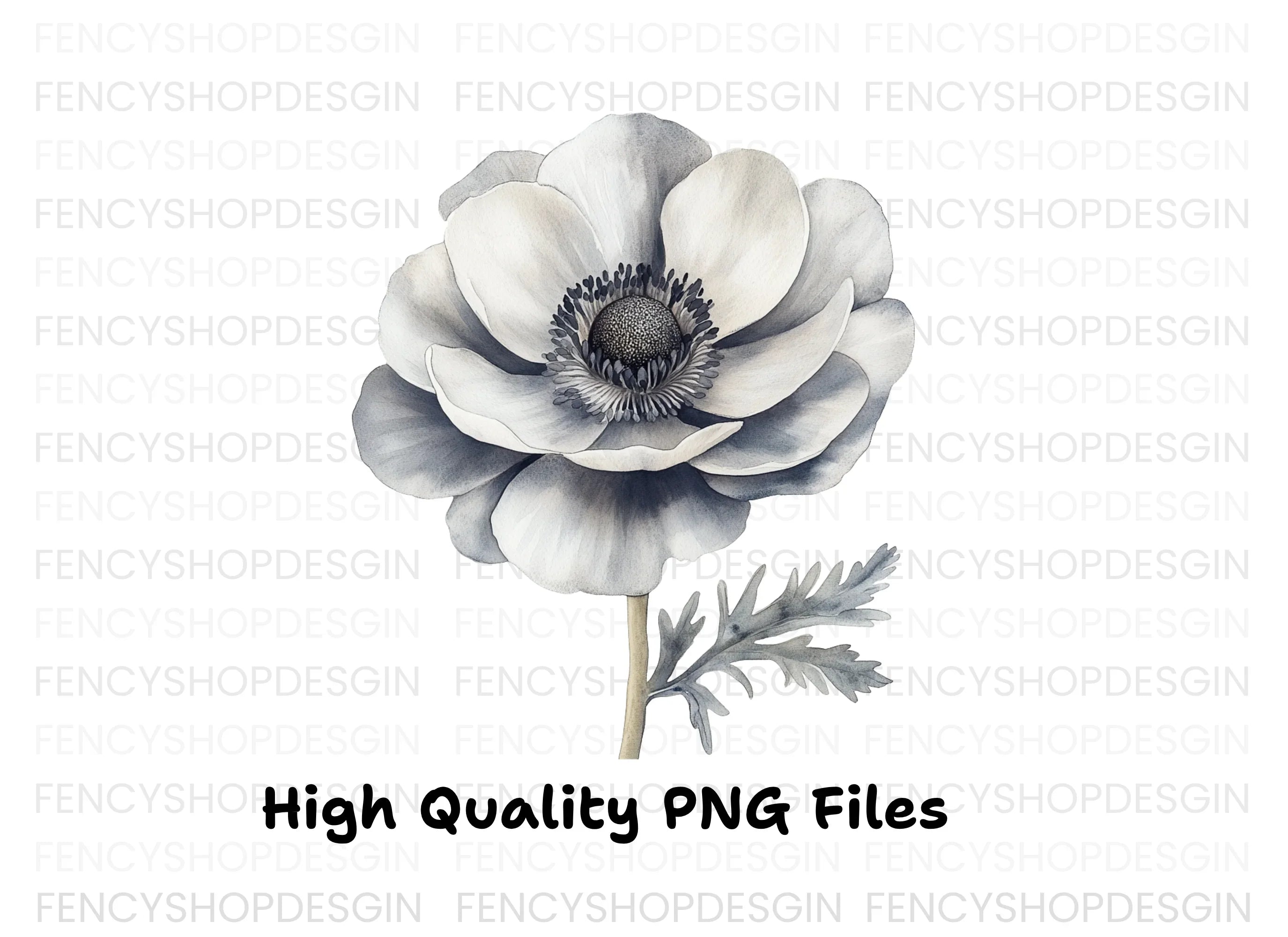 Elegant Anemone Flower Clipart Bundle