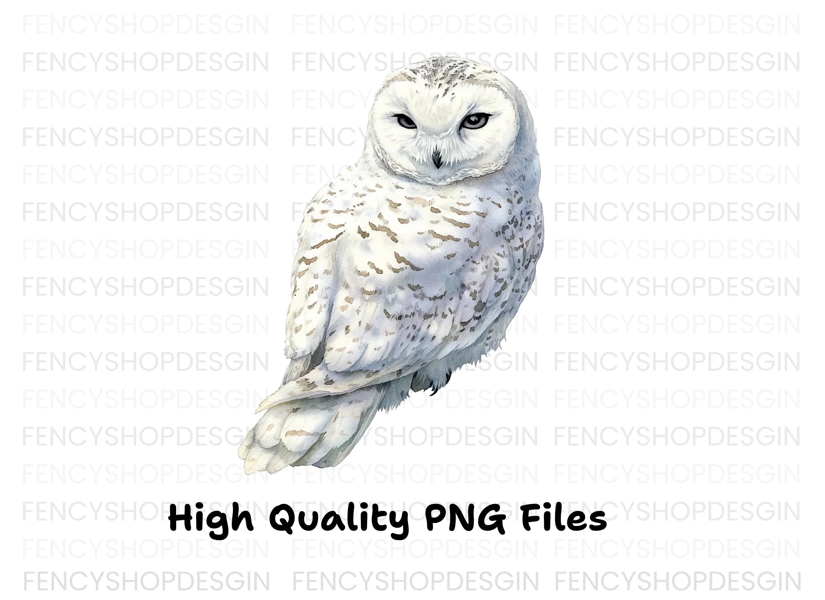 Snowy Owl Clipart Bundle