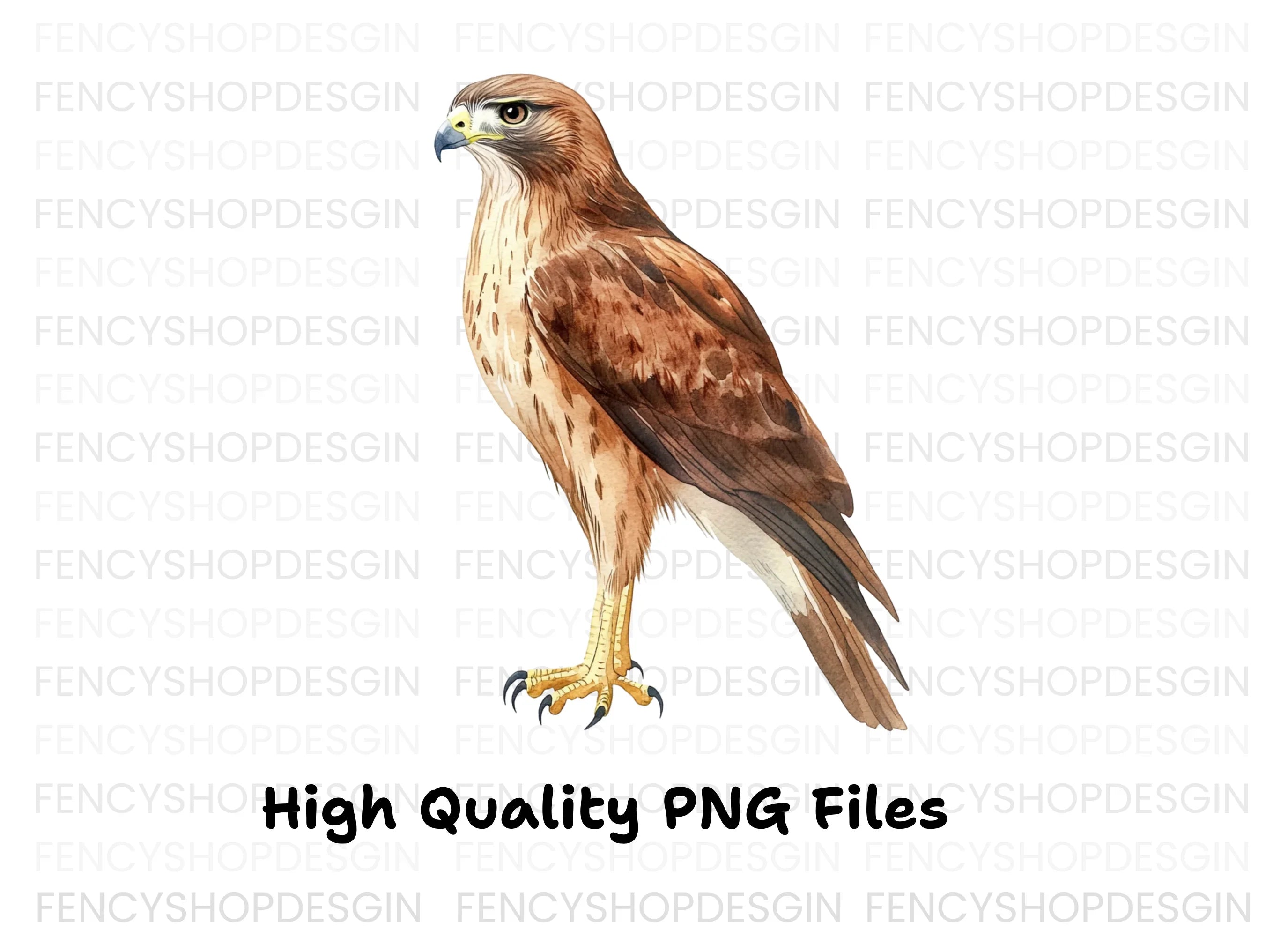 Majestic Brown Hawk Bird Clipart Bundle