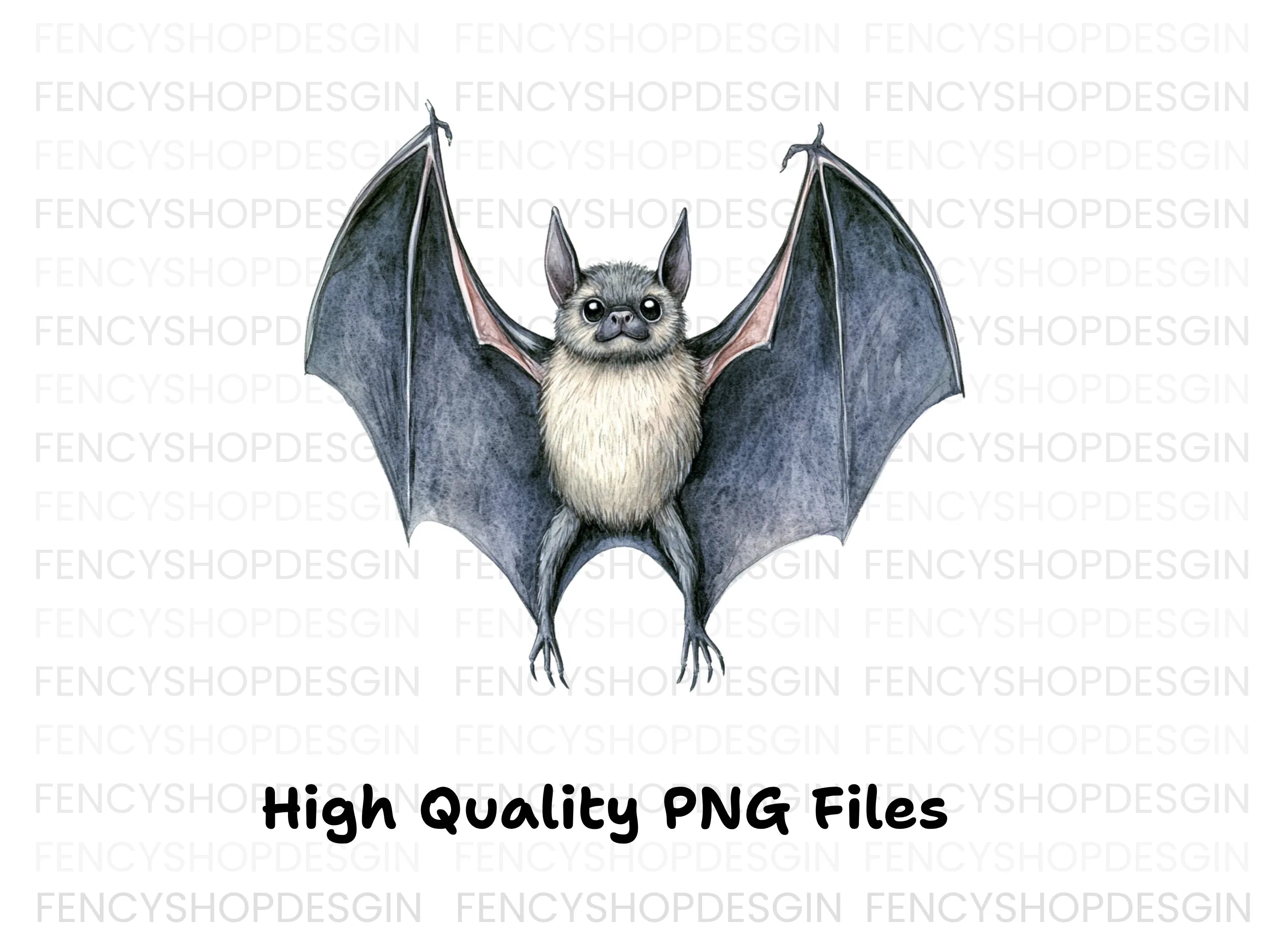 Detailed Bat Front View Clipart Bundle