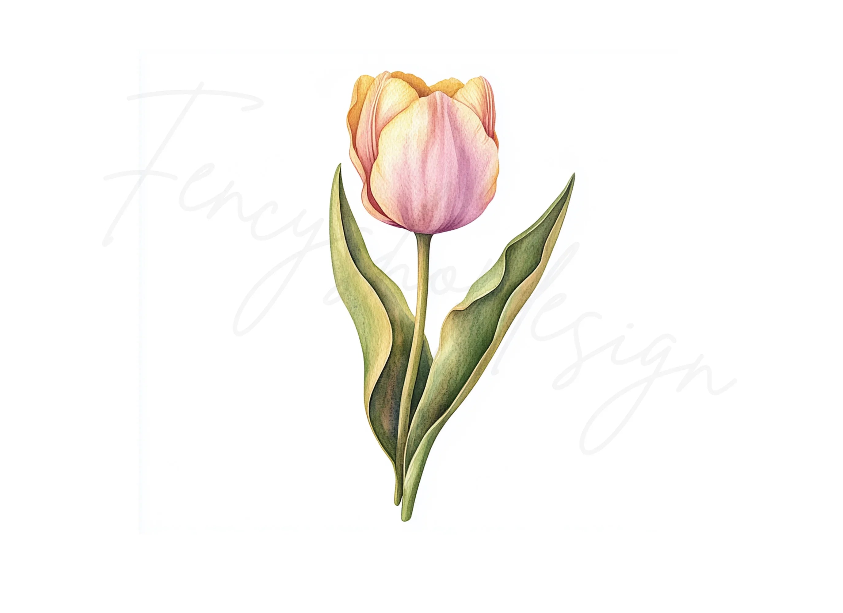 Orange Tulip Flower Clipart Bundle