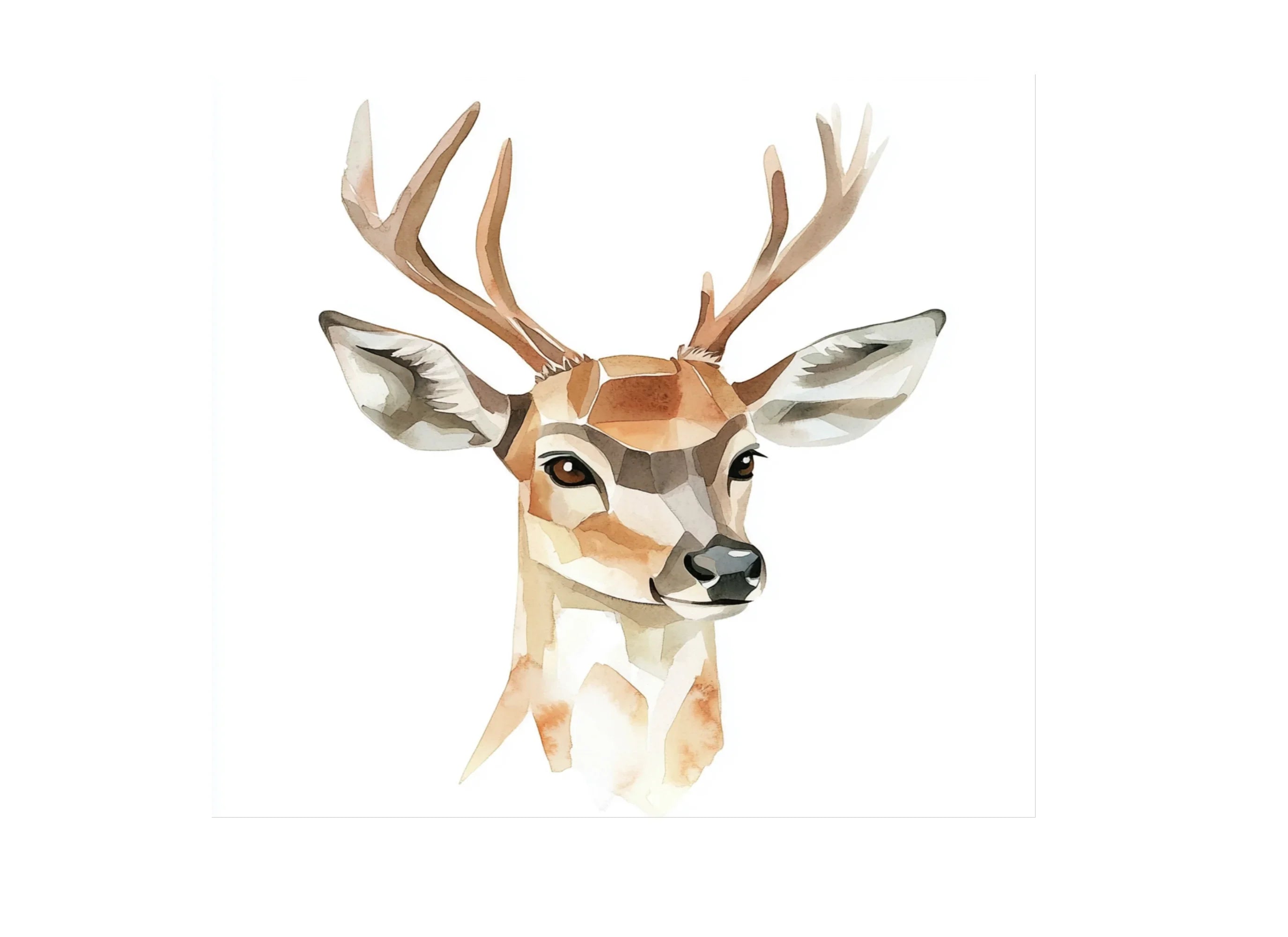 Deer Head Clipart Bundle