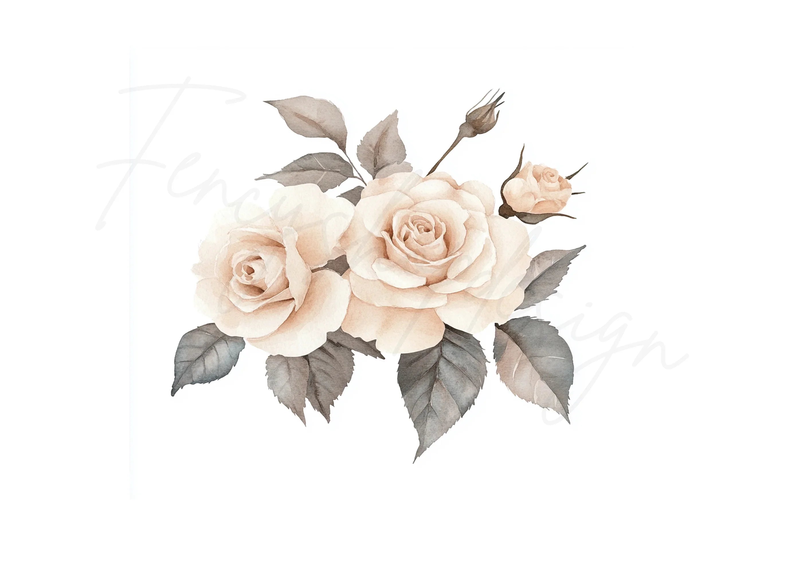 Delicate Rose Clipart Bundle