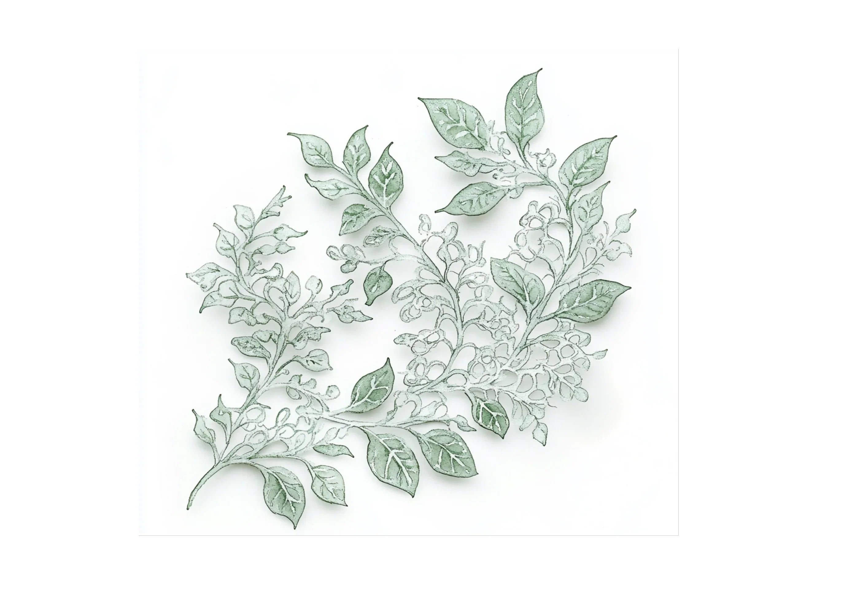 Green Leafy Vines and Floral Clipart Bundle