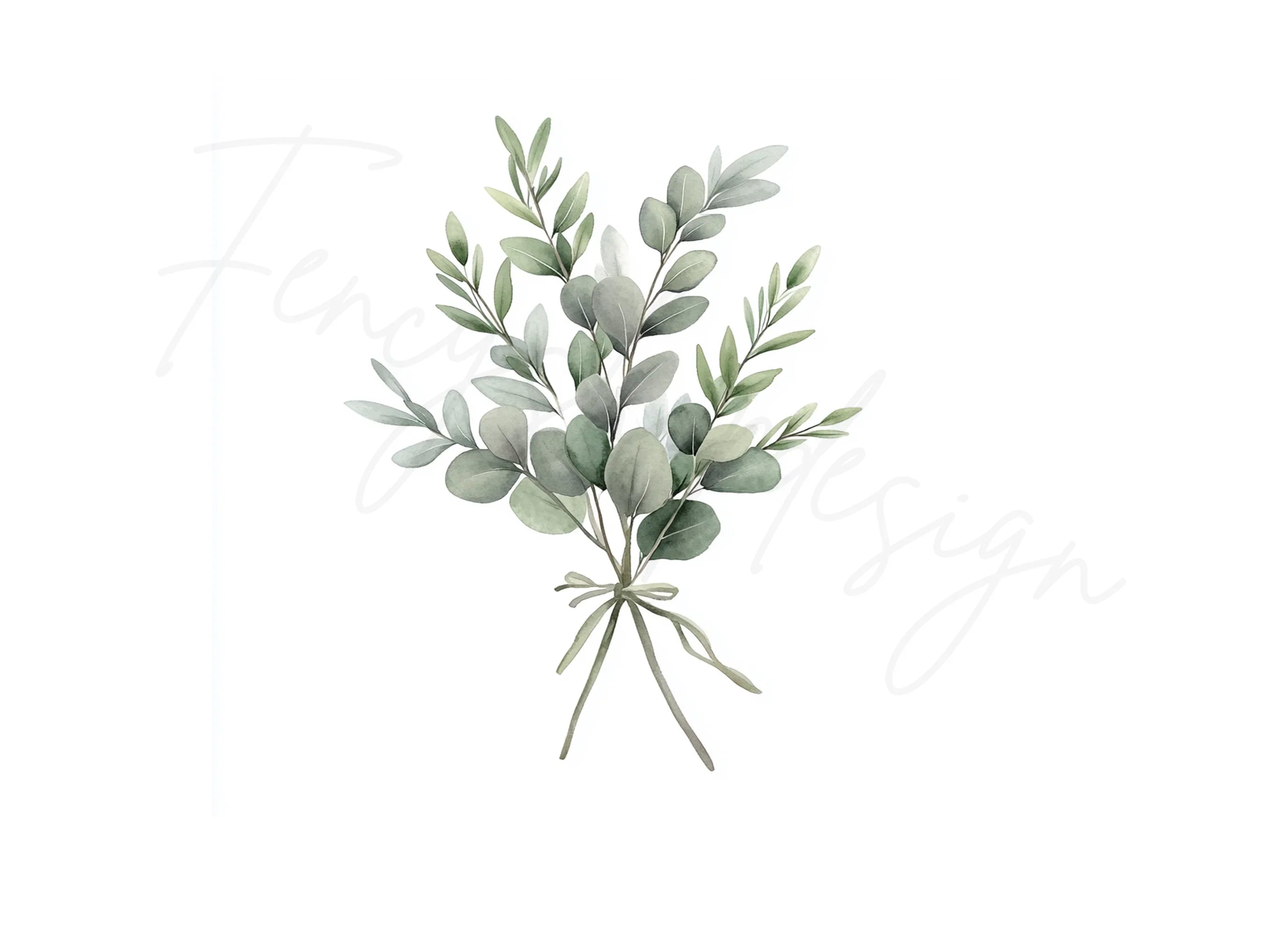 Eucalyptus Olive Bouquets Clipart Bundle