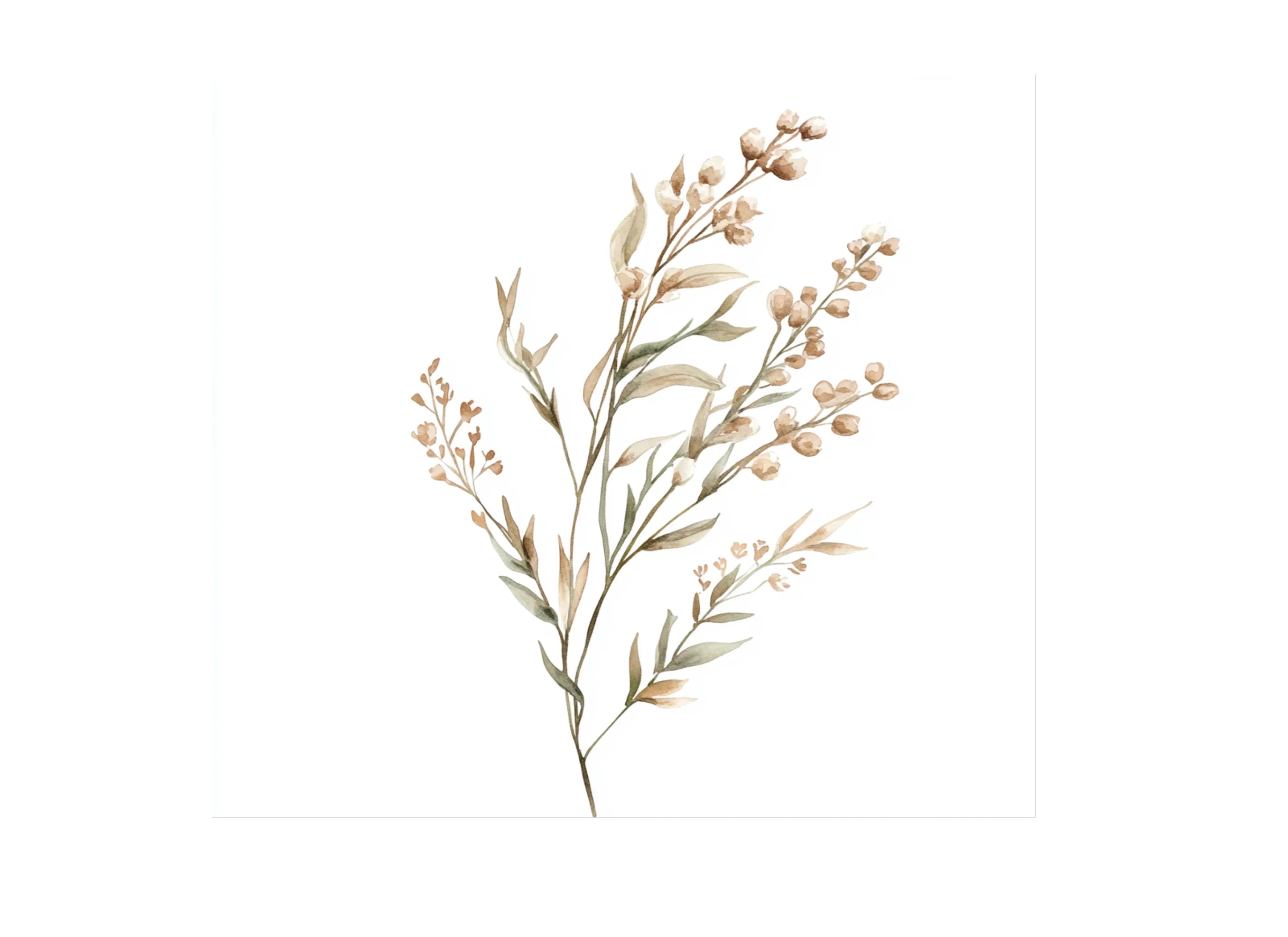 Botanical Clipart Bundle