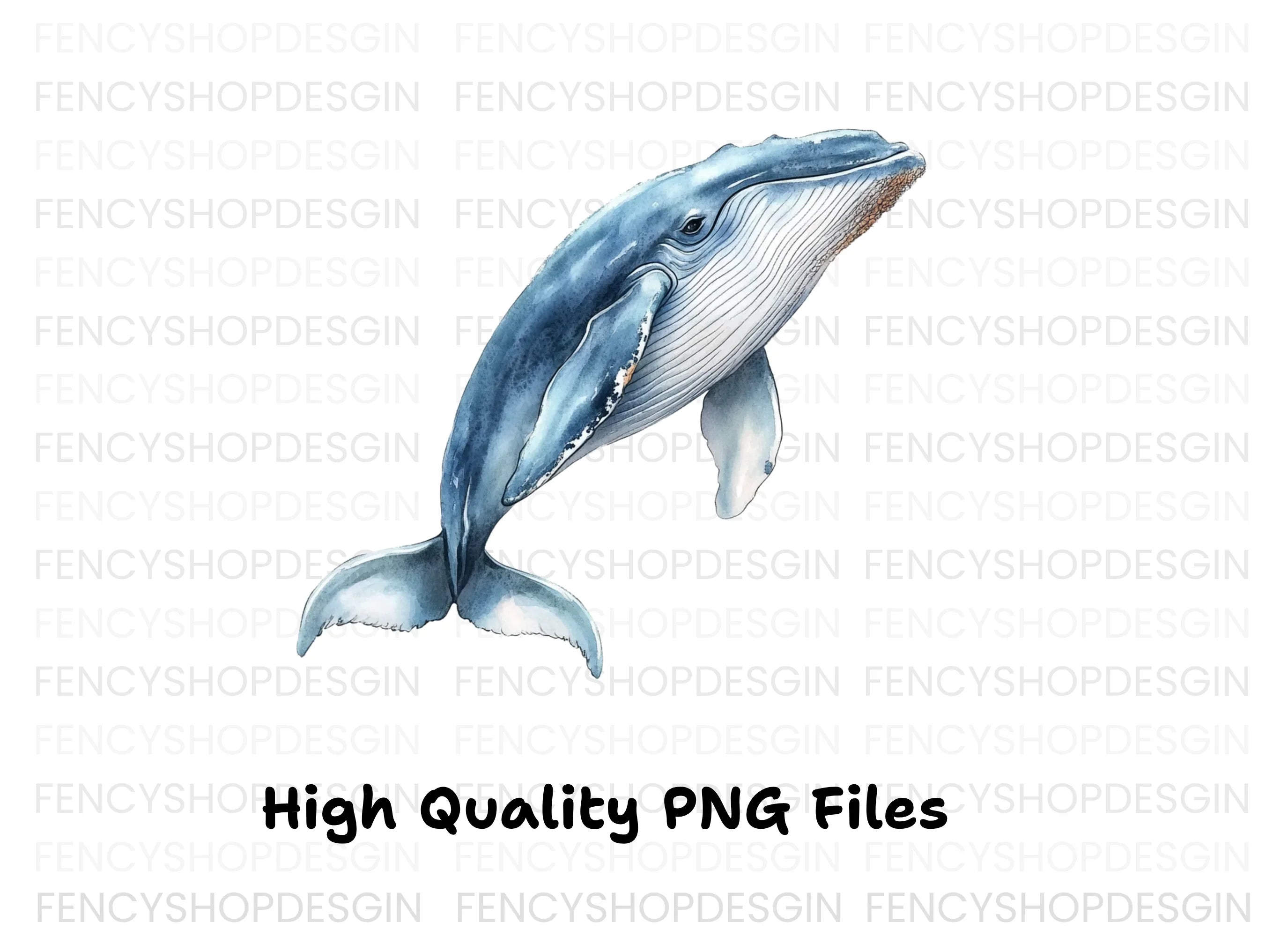 Humpback Whale Clipart Bundle