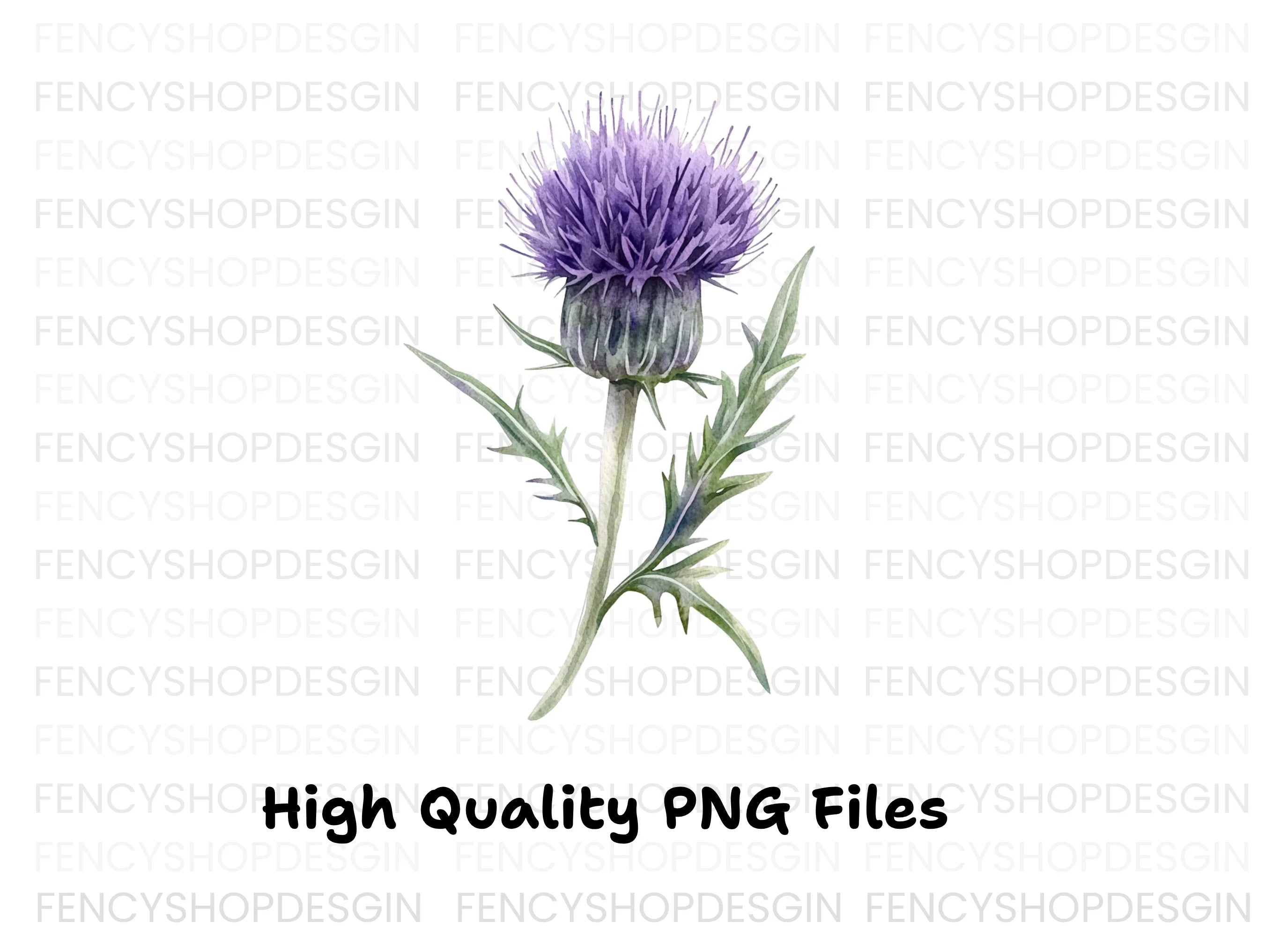 Elegant Purple Thistle Clipart Bundle
