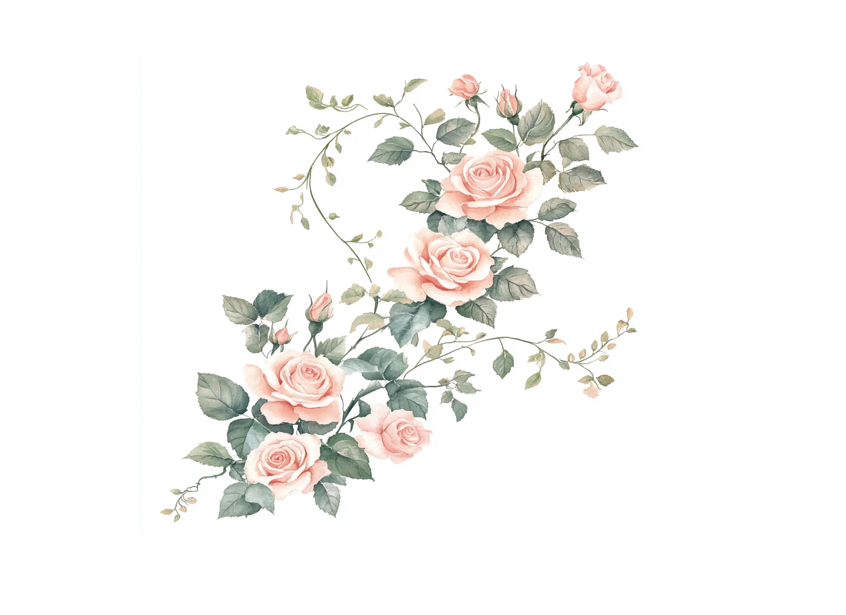 Soft Pink Rose Vines Clipart Bundle