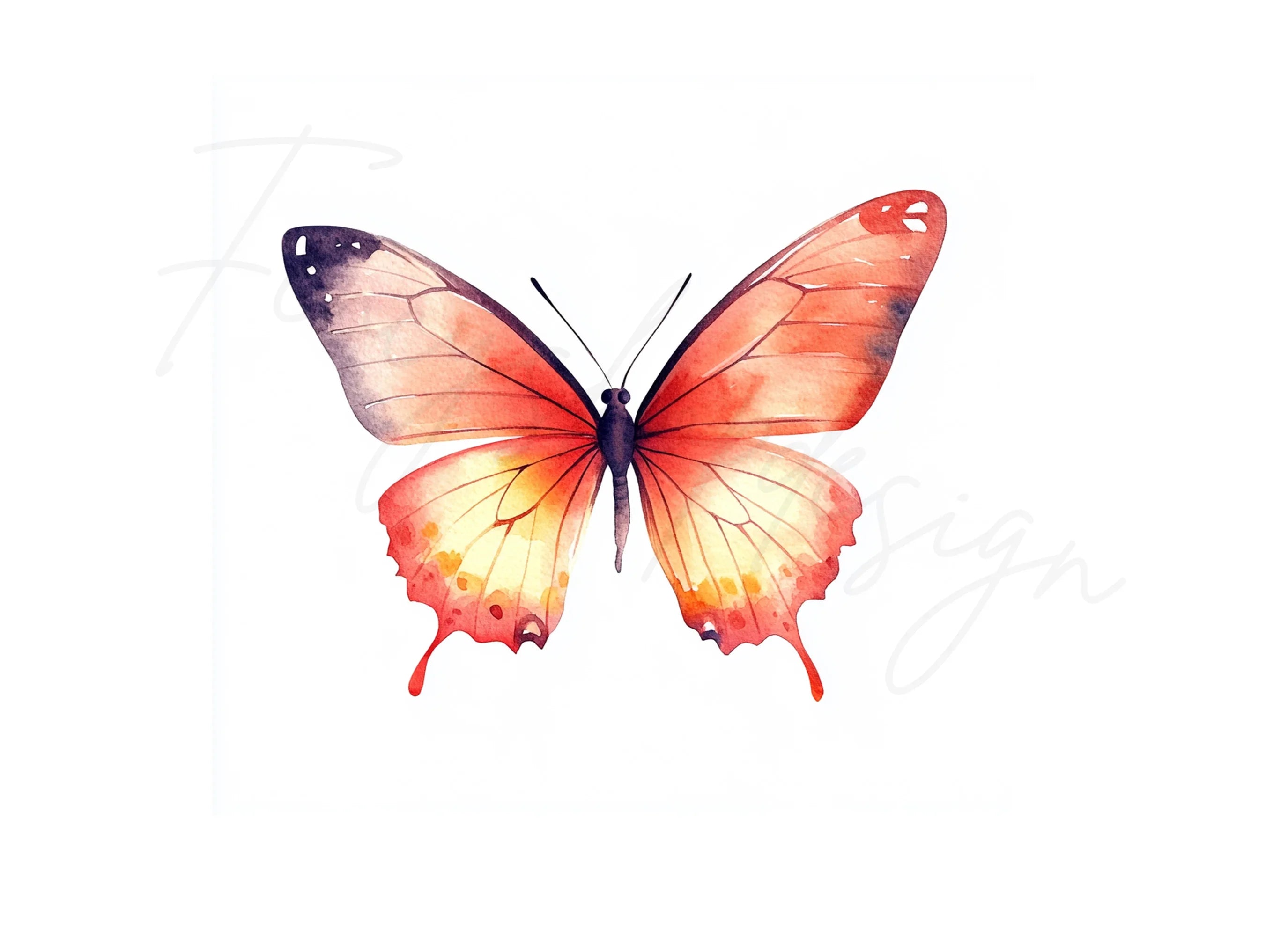 Vibrant Butterfly Clipart Bundle