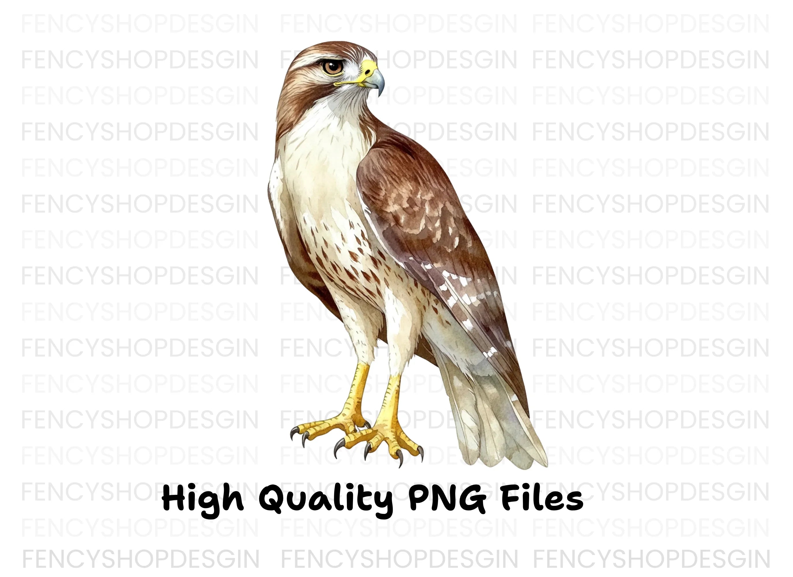 Majestic Red Tailed Hawk Clipart Bundle
