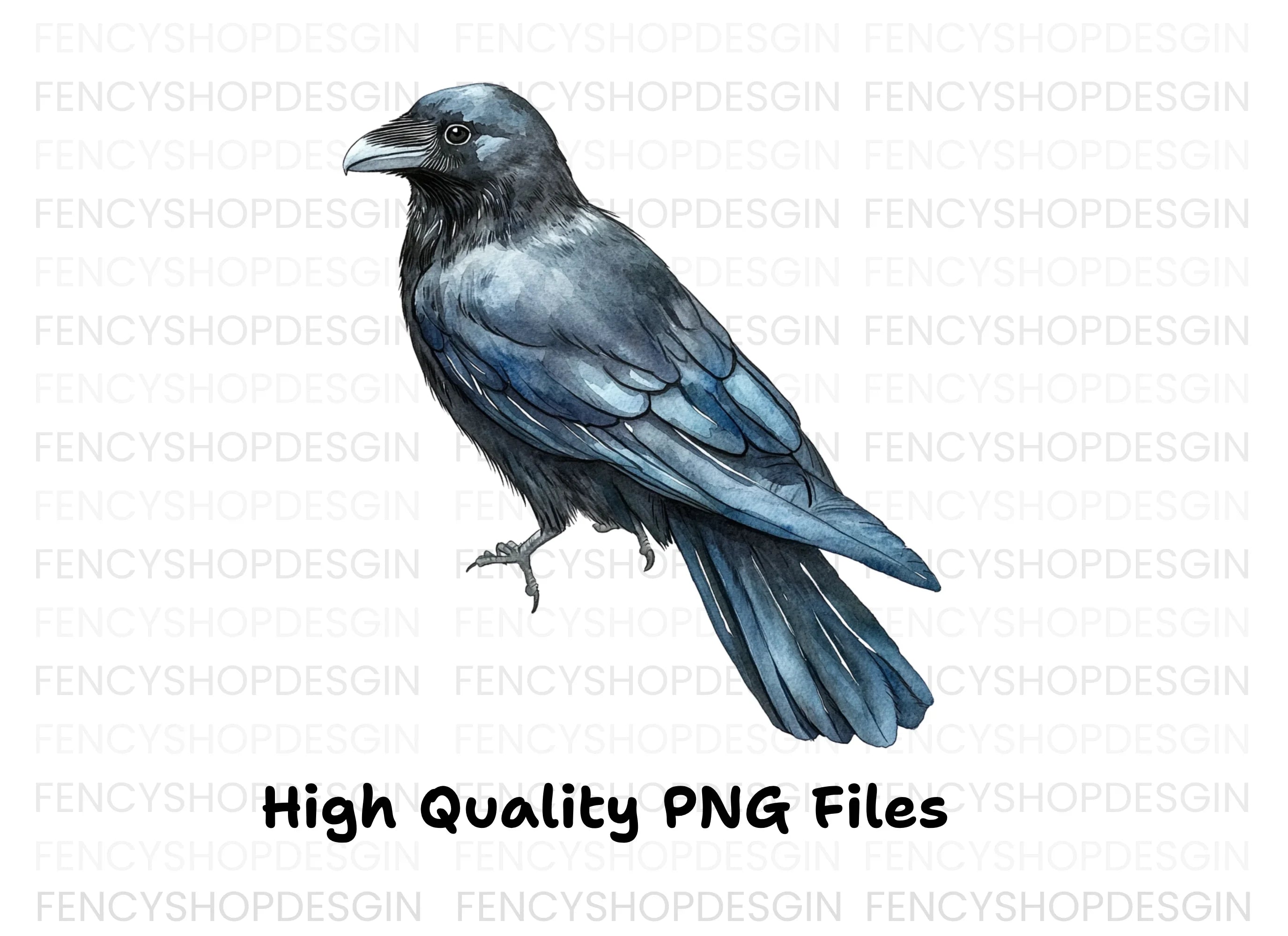 Raven Illustrations Clipart Bundle