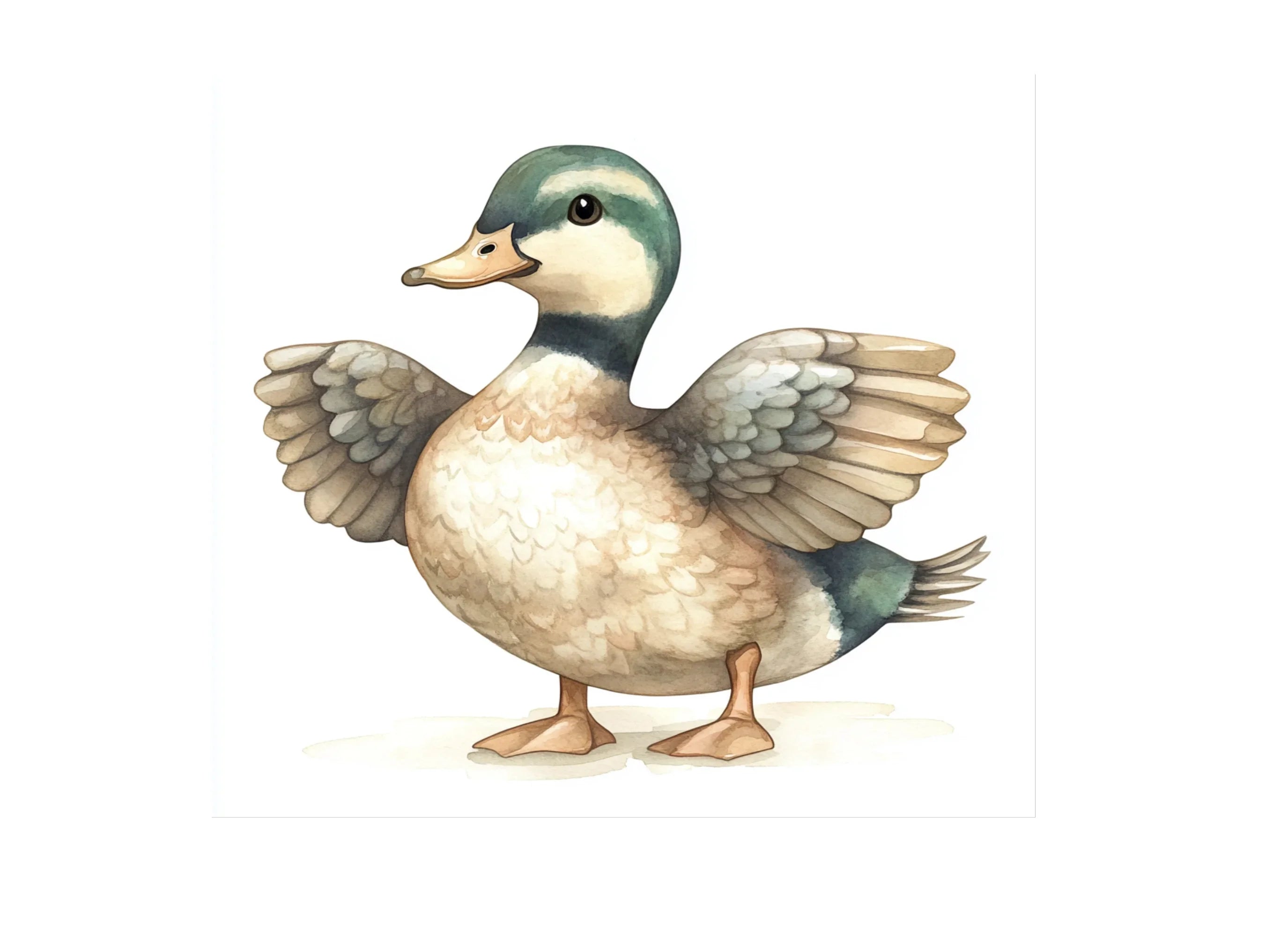 Cute Duck Clipart Bundle