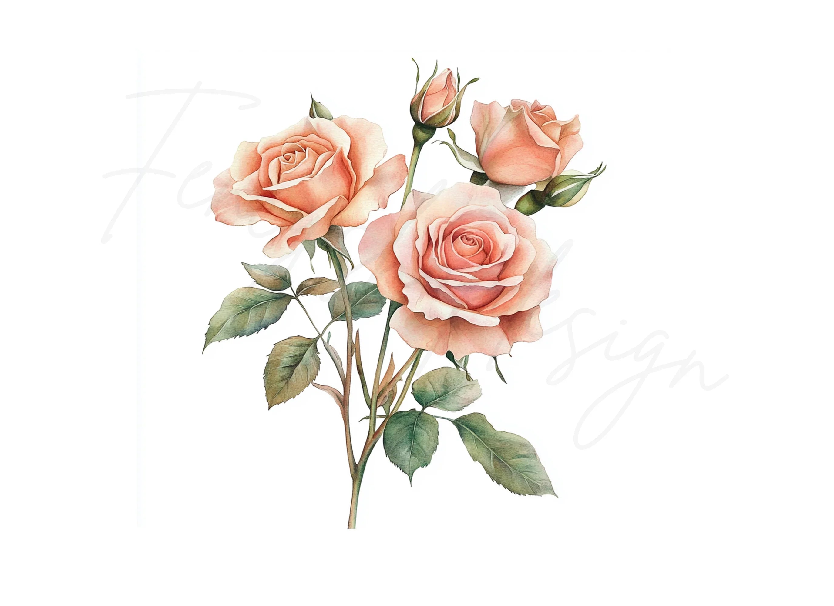 Elegant Peach Rose Clipart Bundle