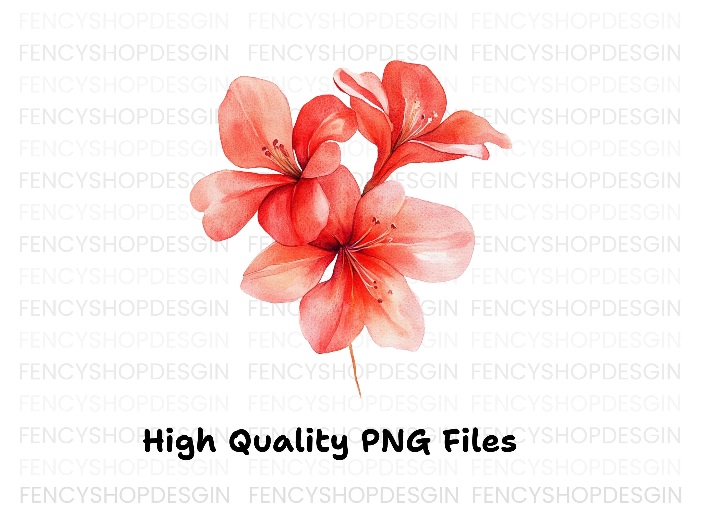 Red Geranium Flowers Clipart Bundle