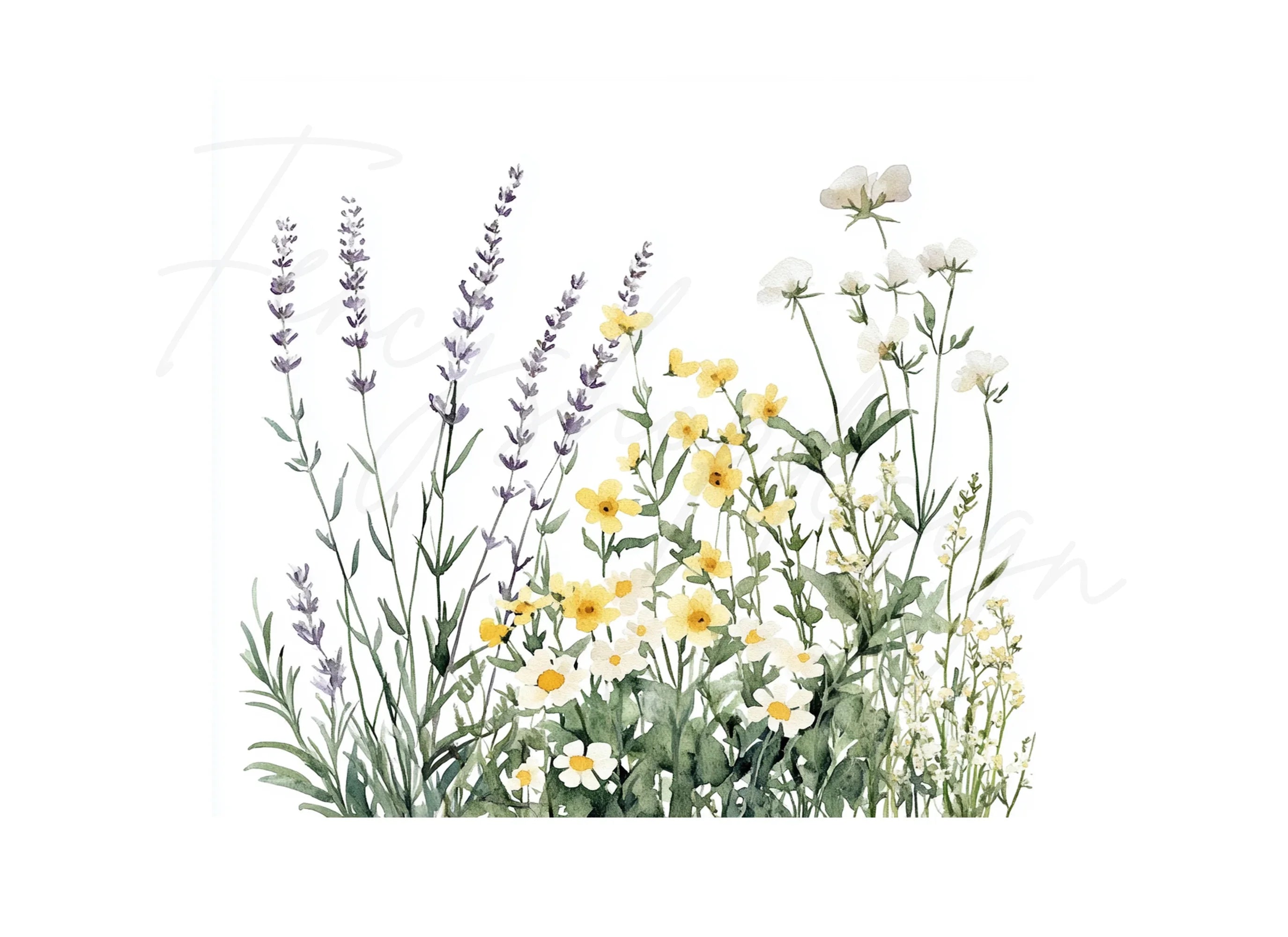 Wildflower Meadow Clipart Bundle
