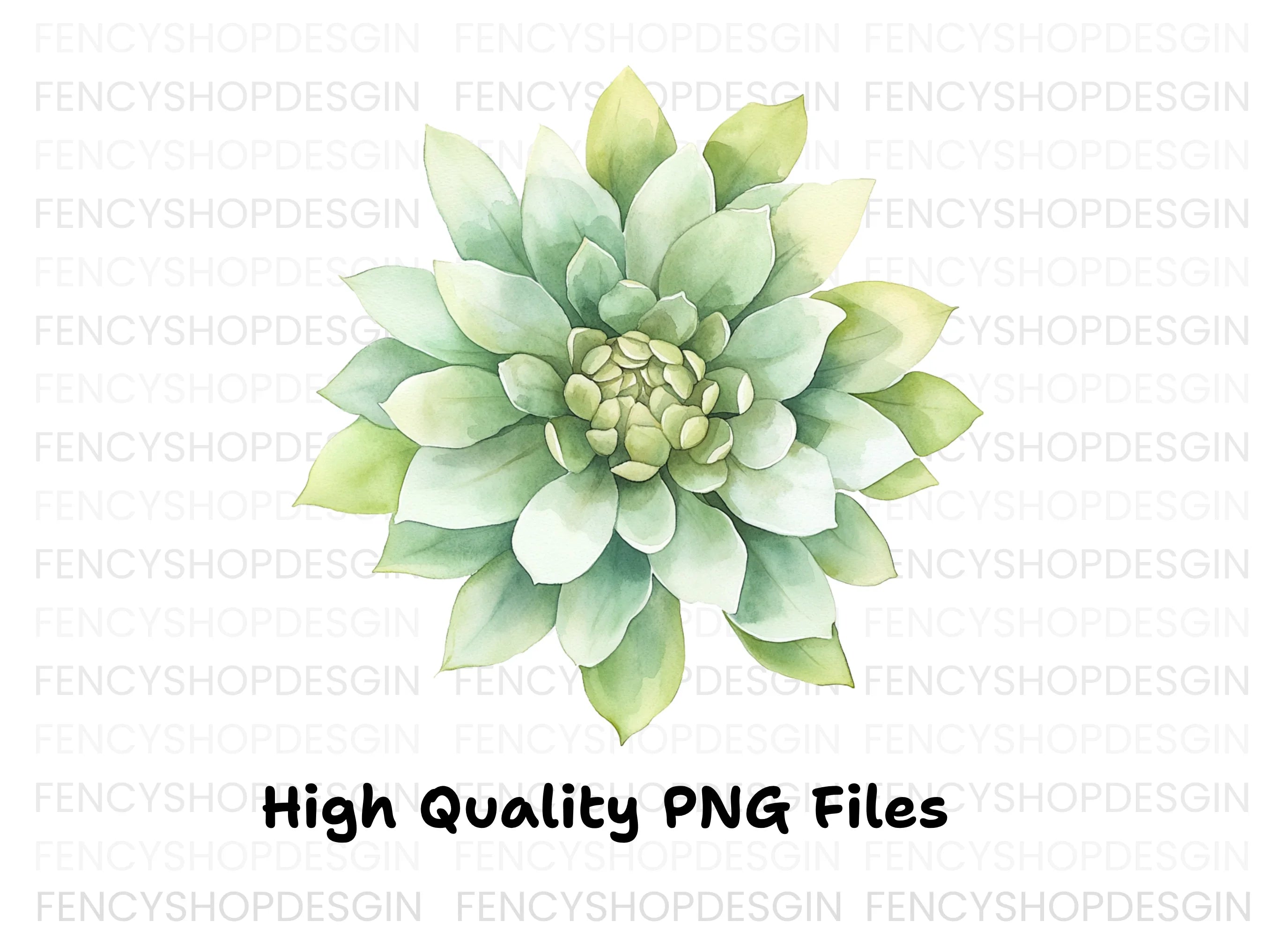 Succulent Clipart Bundle