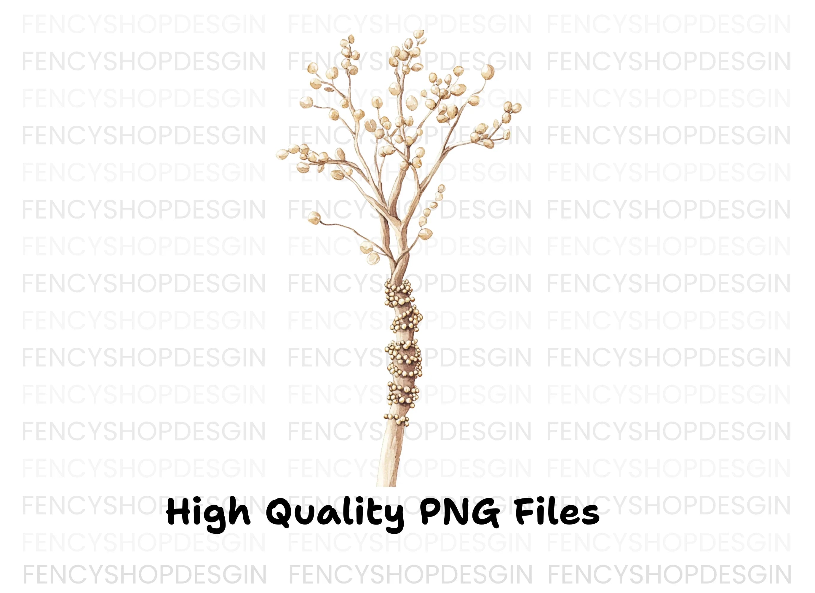 Microscopic Fungi Spore Clipart Bundle