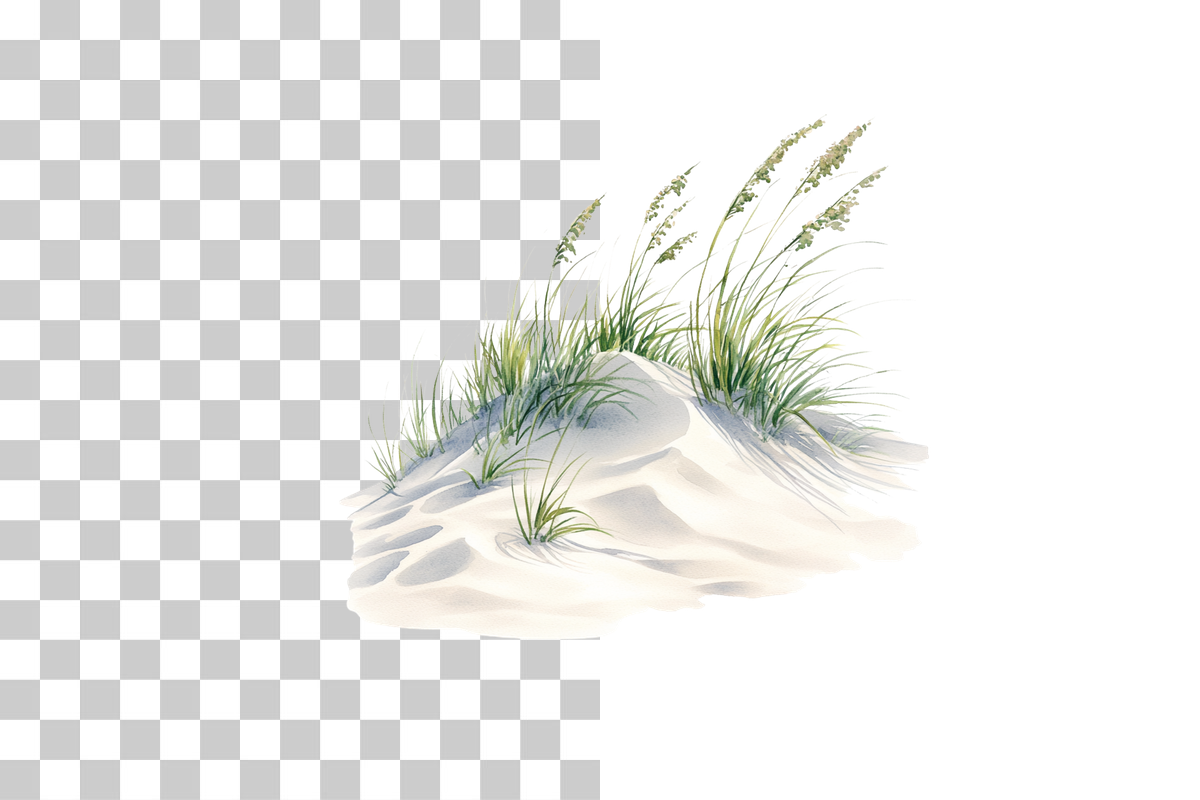 Coastal Sand Dunes with Grass Clipart Bundle