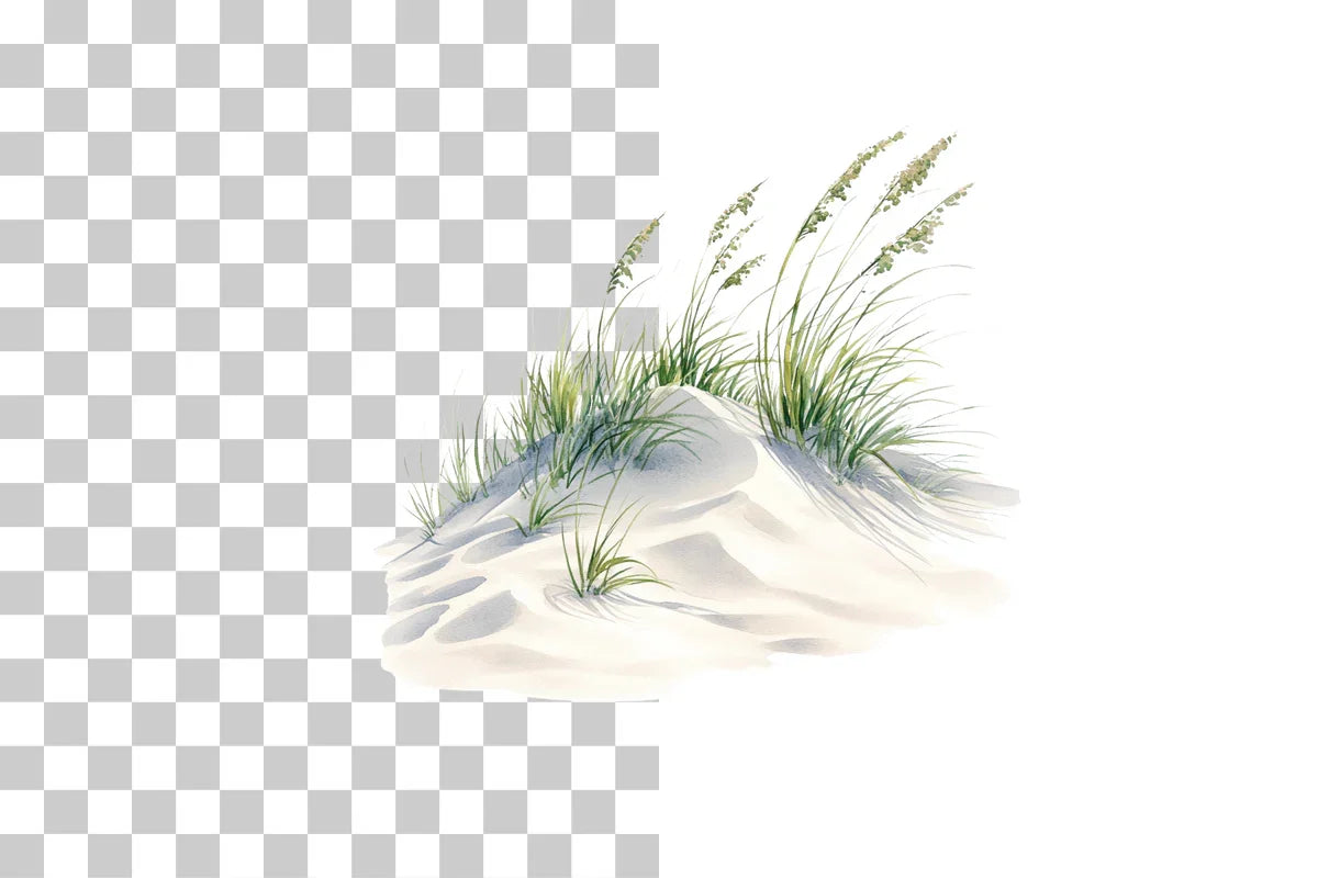 Coastal Sand Dunes with Grass Clipart Bundle - CraftNest - Digital Crafting and Art