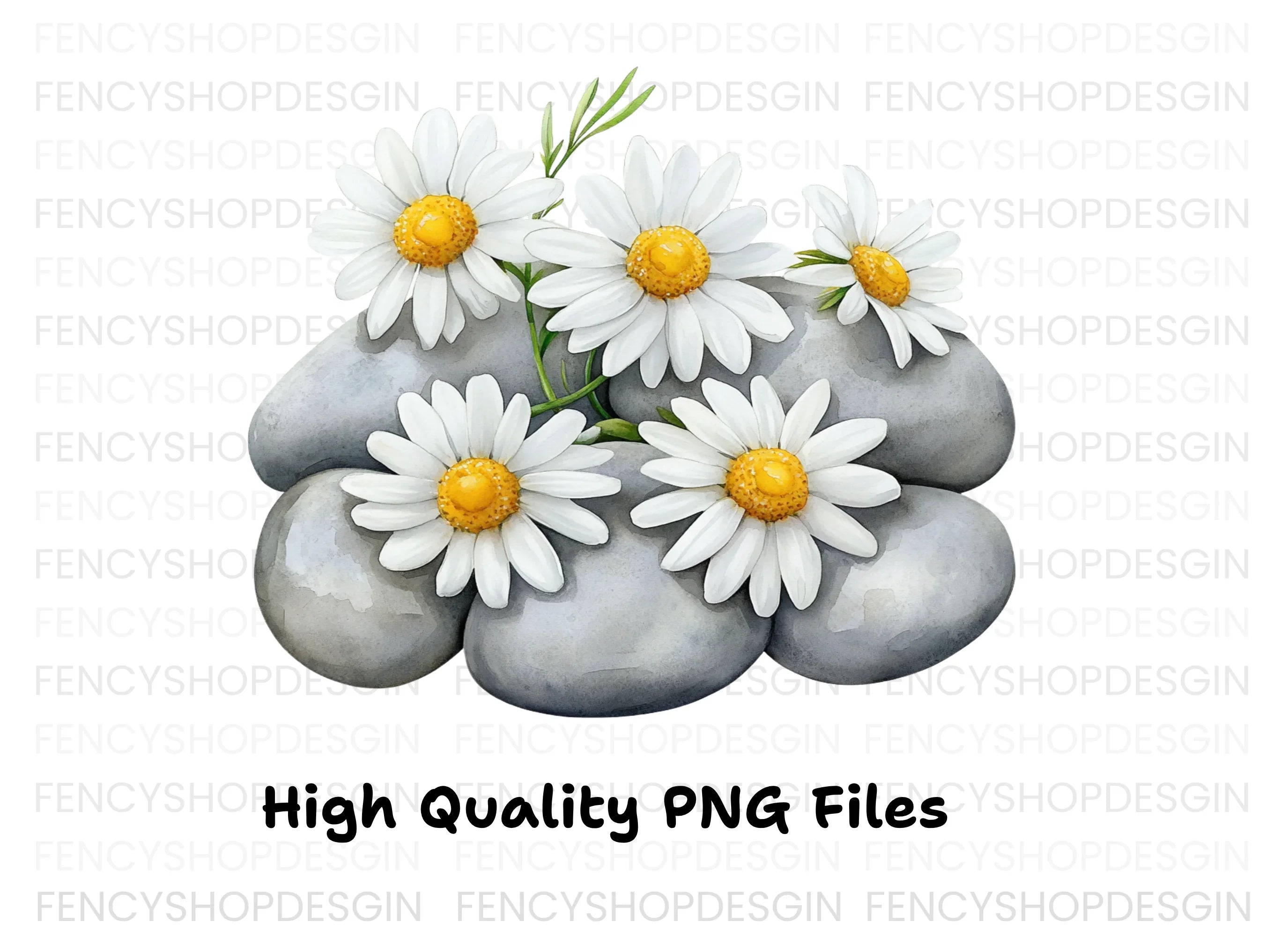 Daisy and Stone Arrangement Clipart Bundle