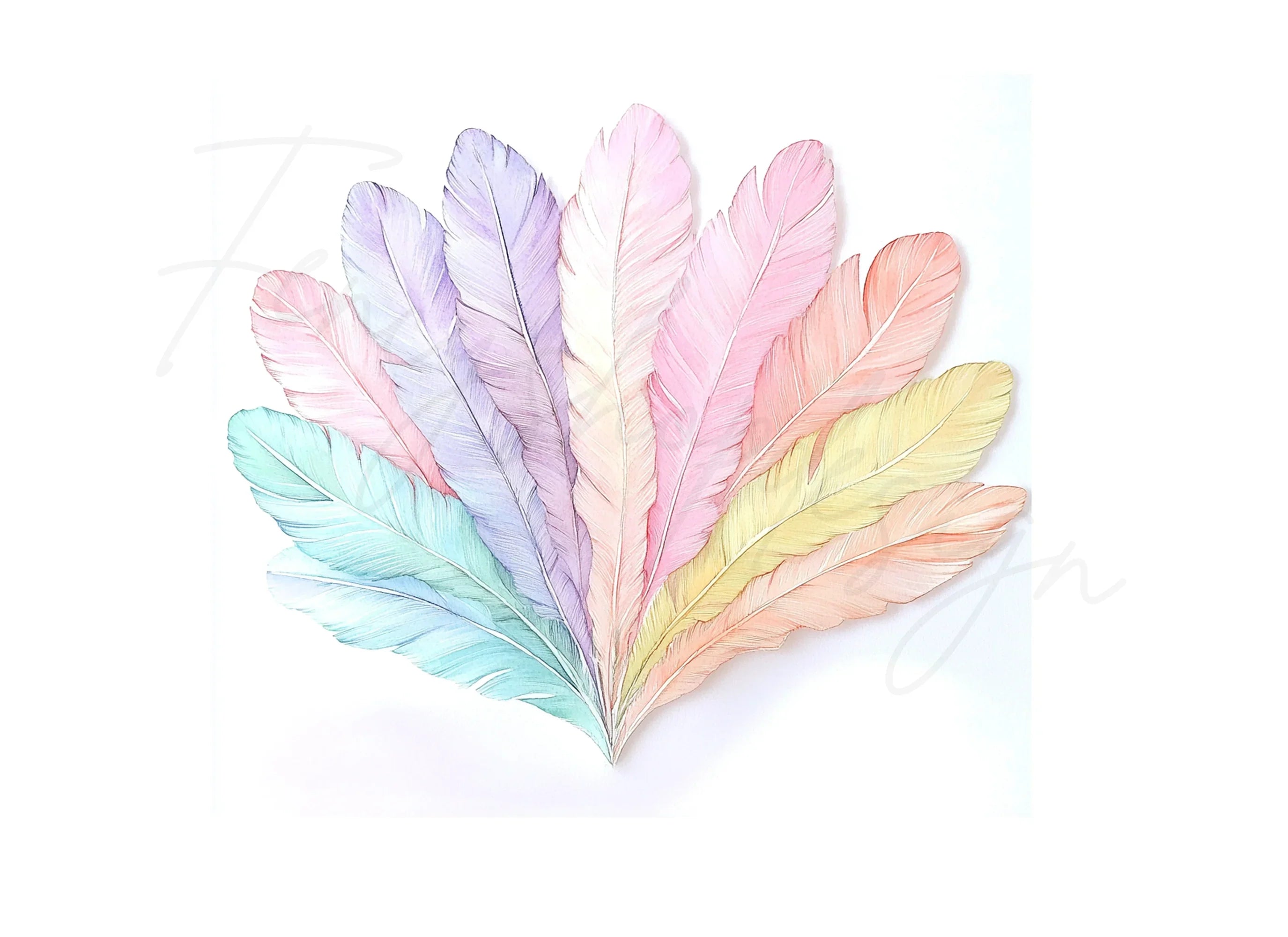 Pastel Feather Fan Clipart Bundle