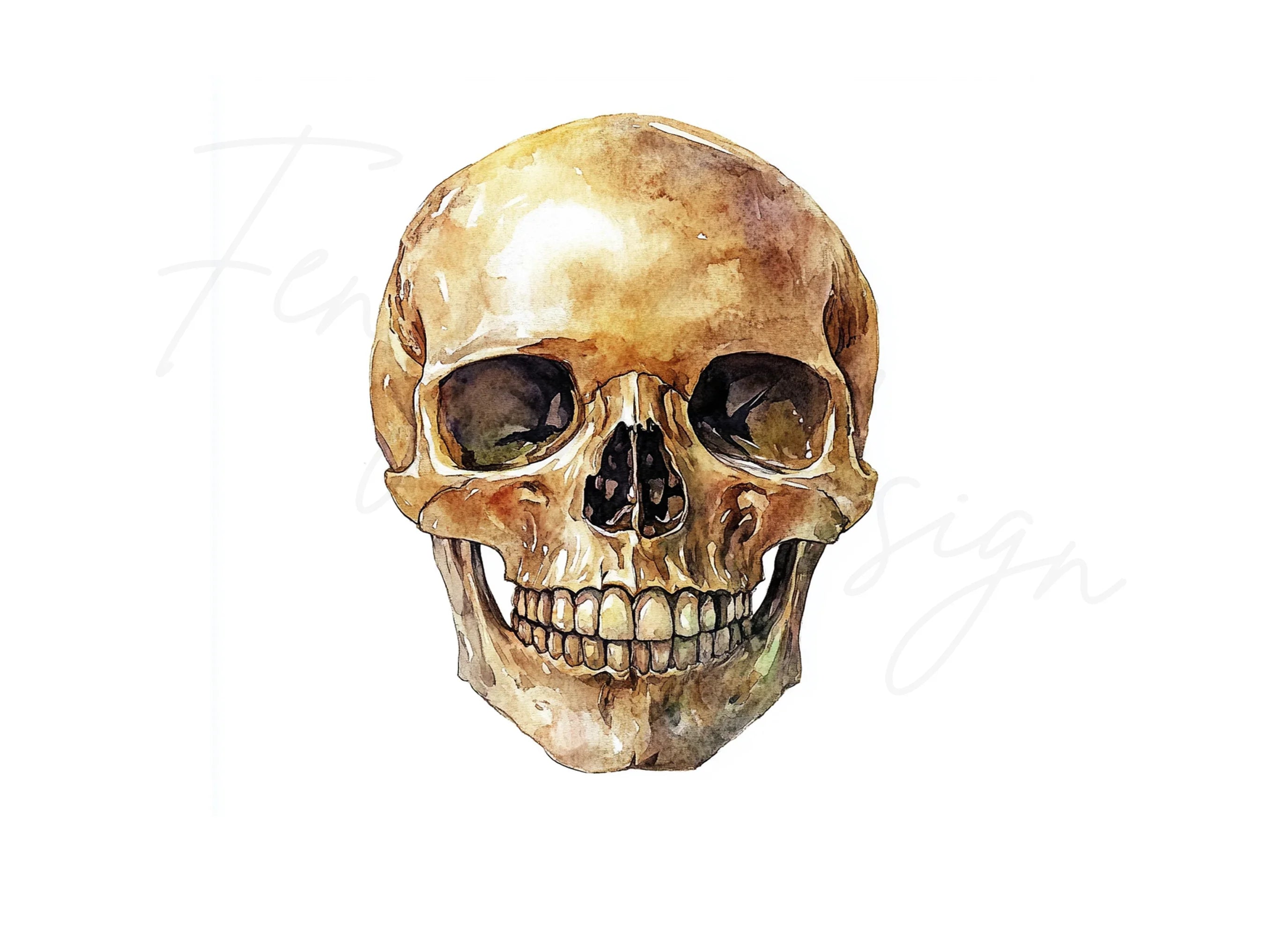 Human Skulls Clipart Bundle