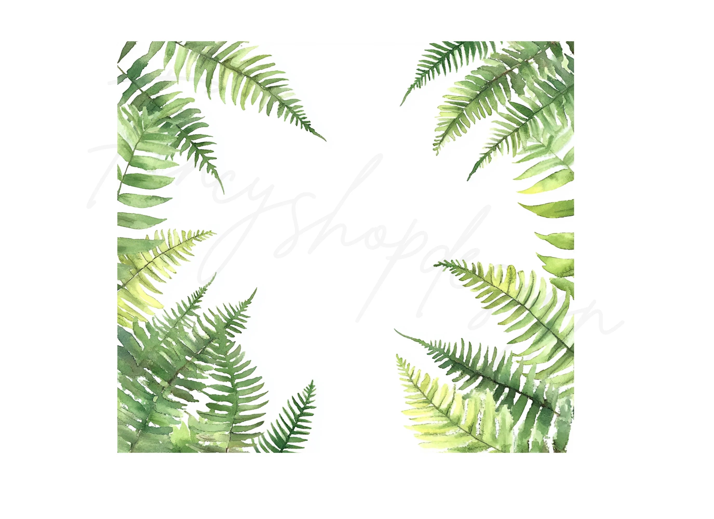 Green Fern Border Elements Clipart Bundle