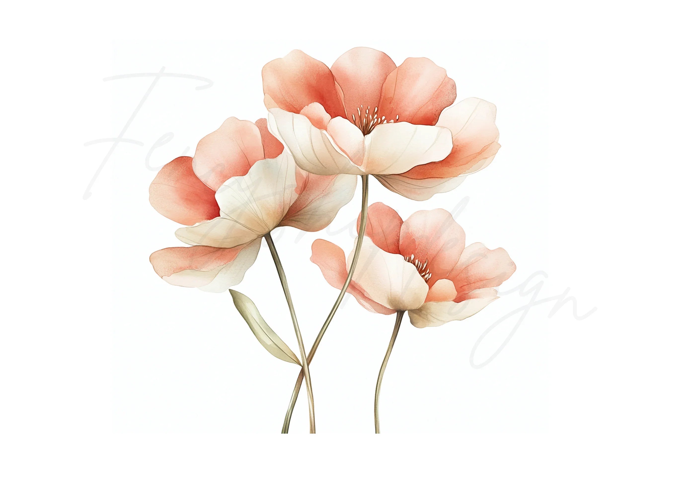Elegant Peach Peony Clipart Bundle