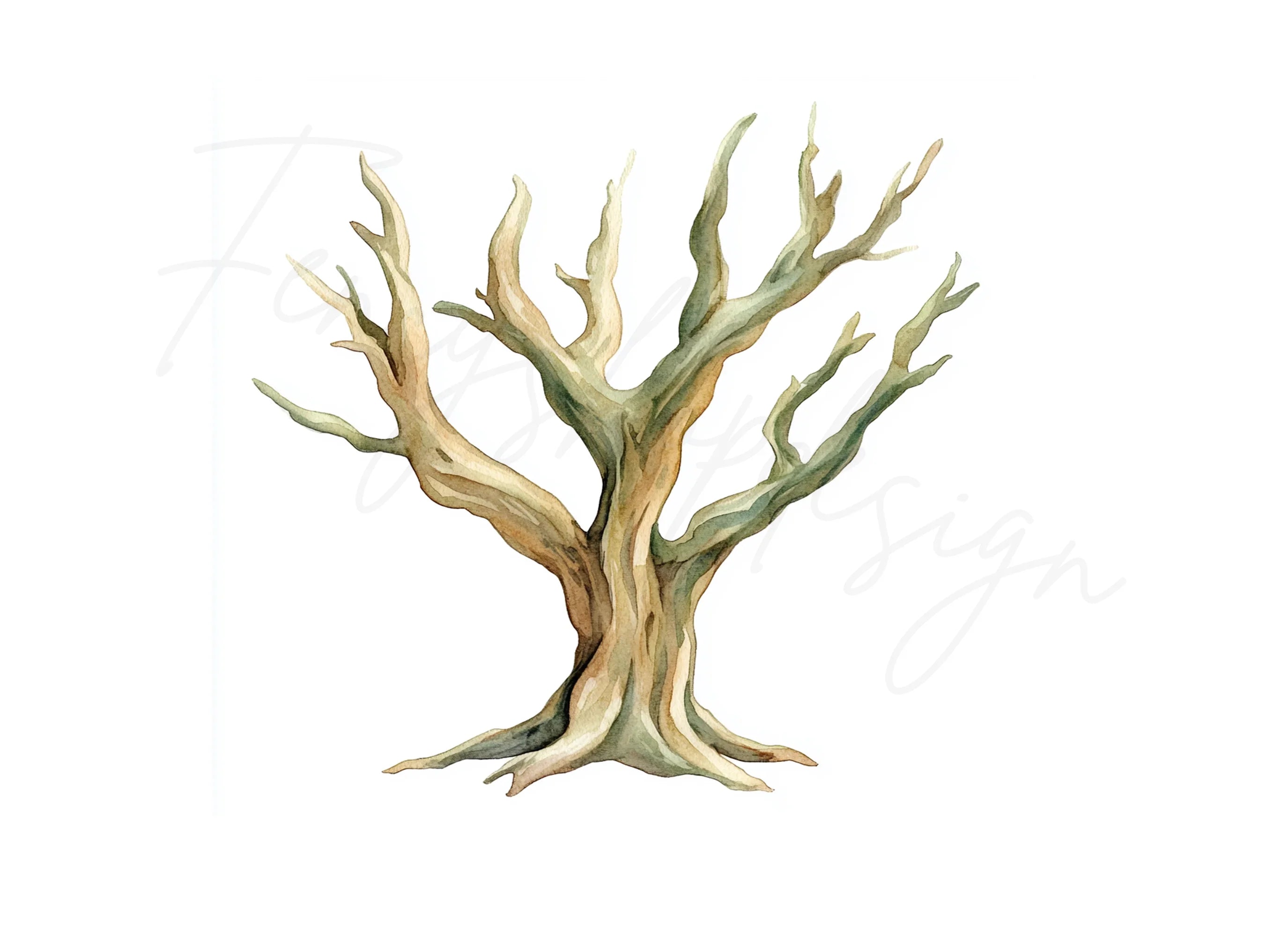 Bare Tree Clipart Bundle