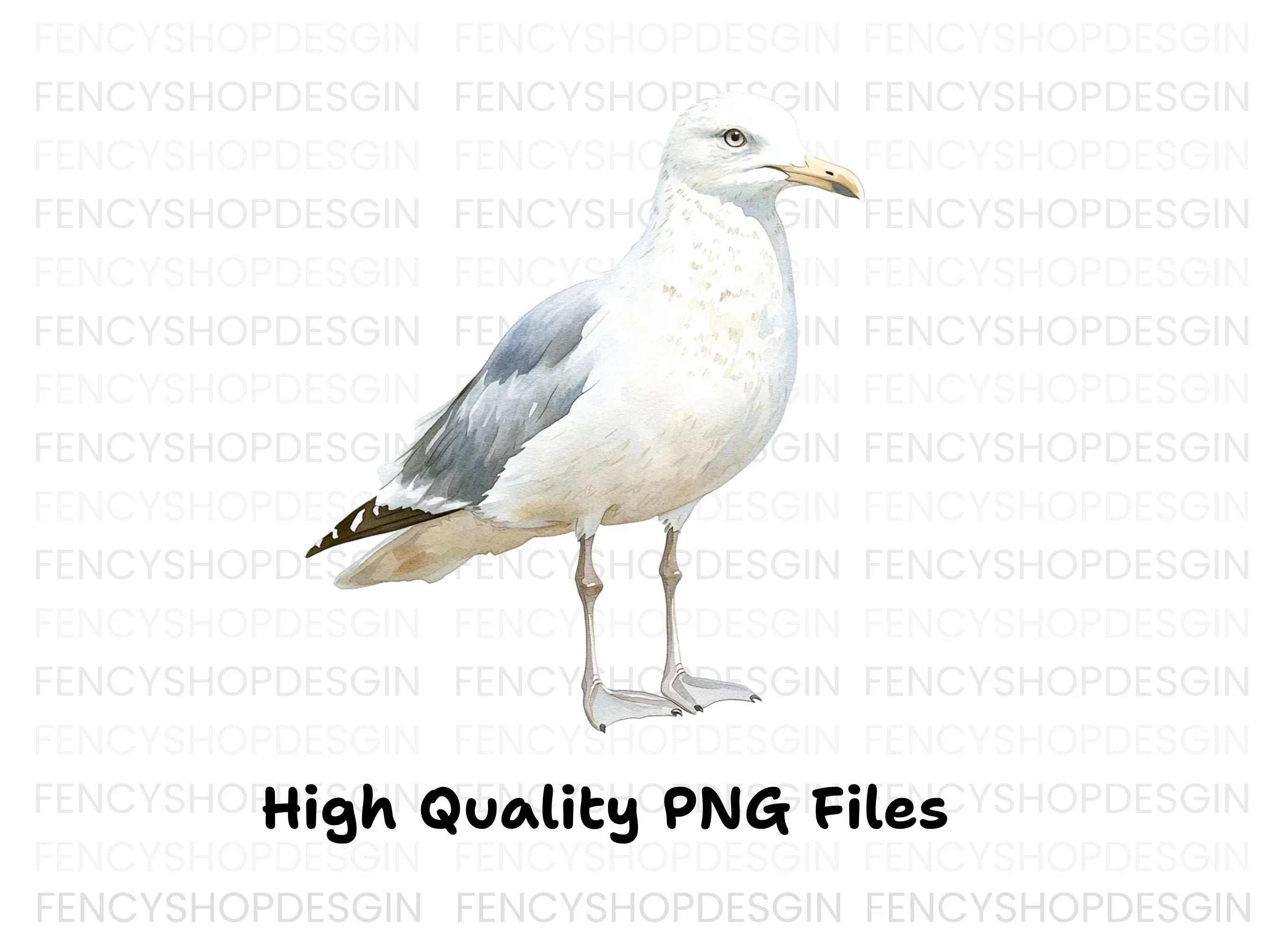 Seagull Clipart Bundle