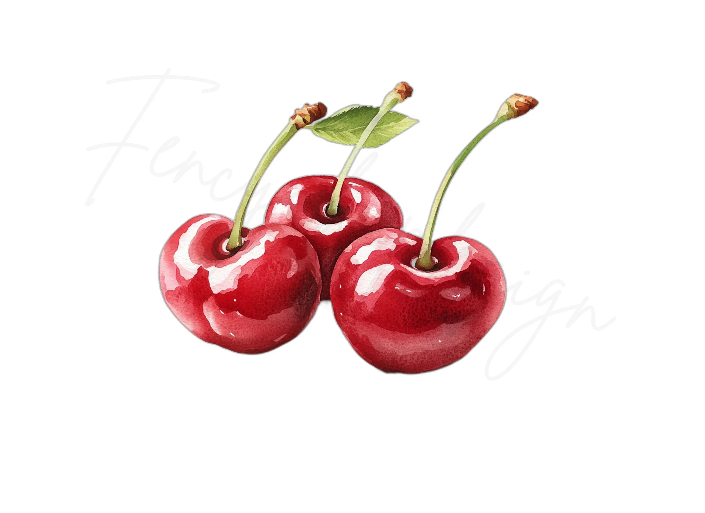Cherry Clipart Bundle