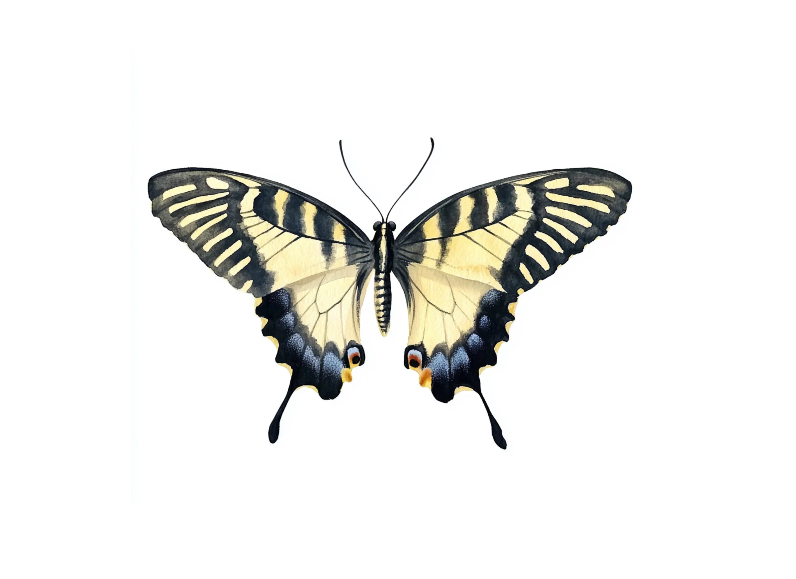 Striped Swallowtail Butterfly Clipart Bundle