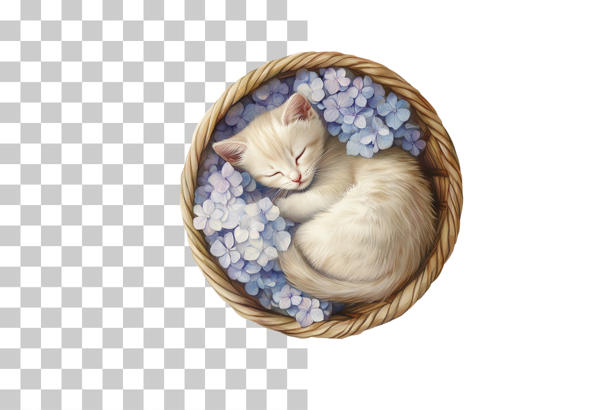 Whimsical Animals and Floral Clipart Bundle