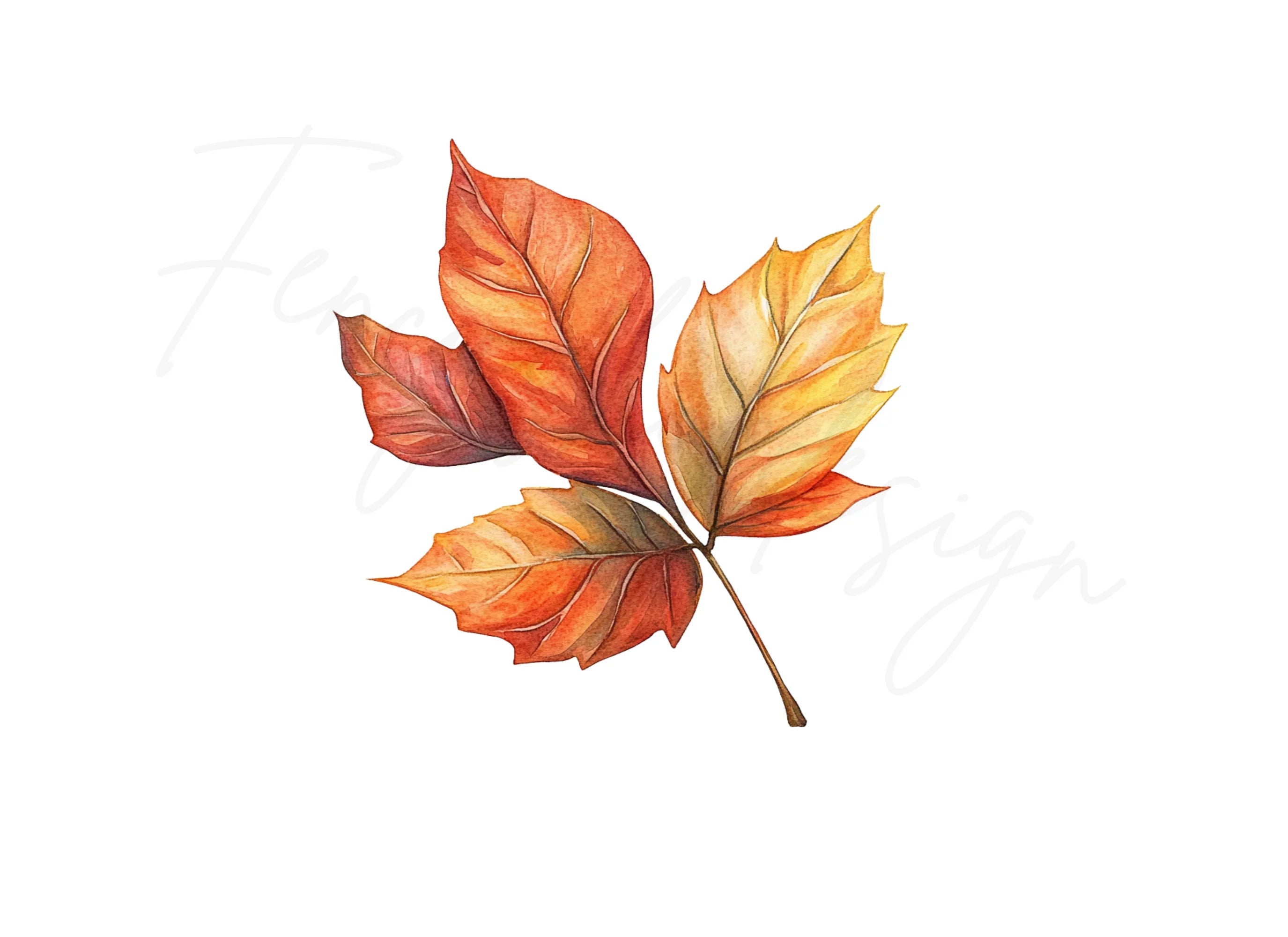 Autumn Leaves Clipart Bundle
