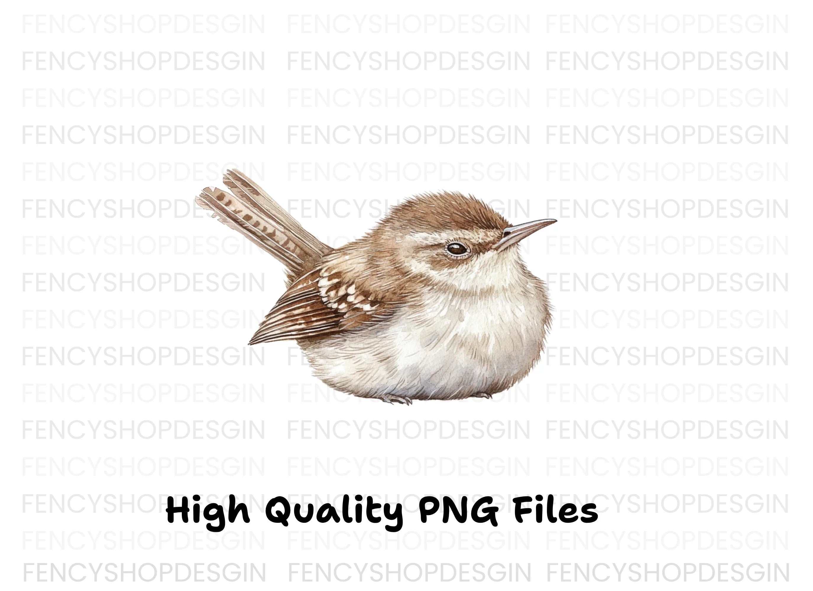 Cute Wren Bird Clipart Bundle