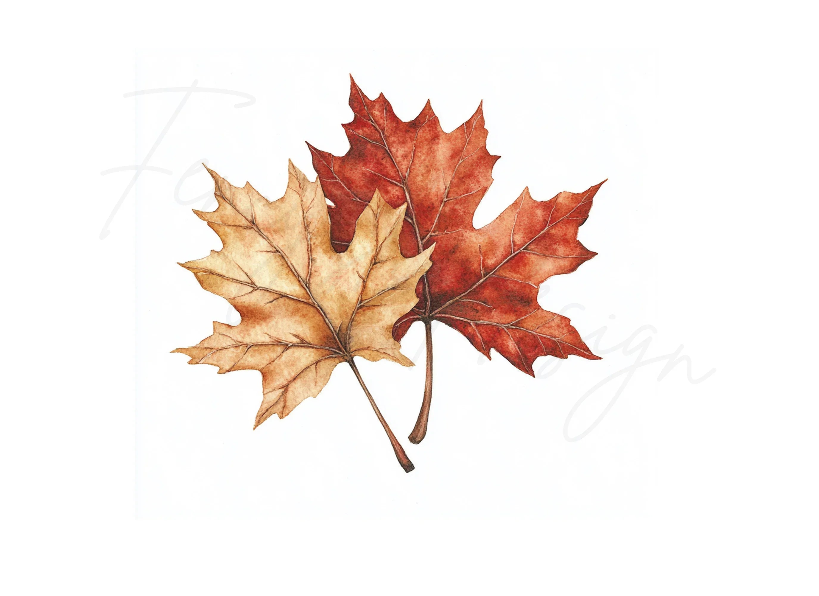 Autumn Maple Leaves Clipart Bundle
