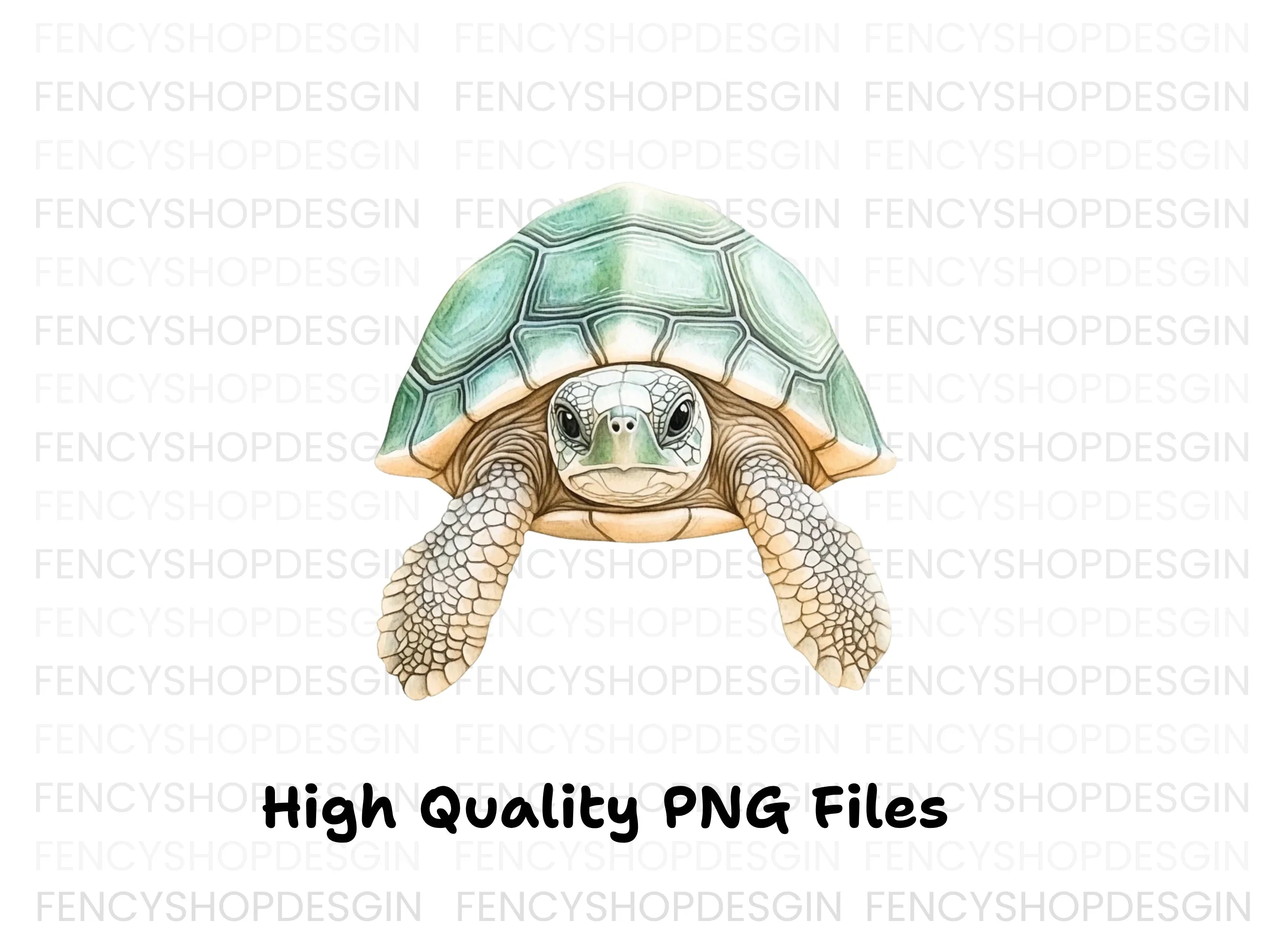 Cute Baby Sea Turtle Clipart Bundle