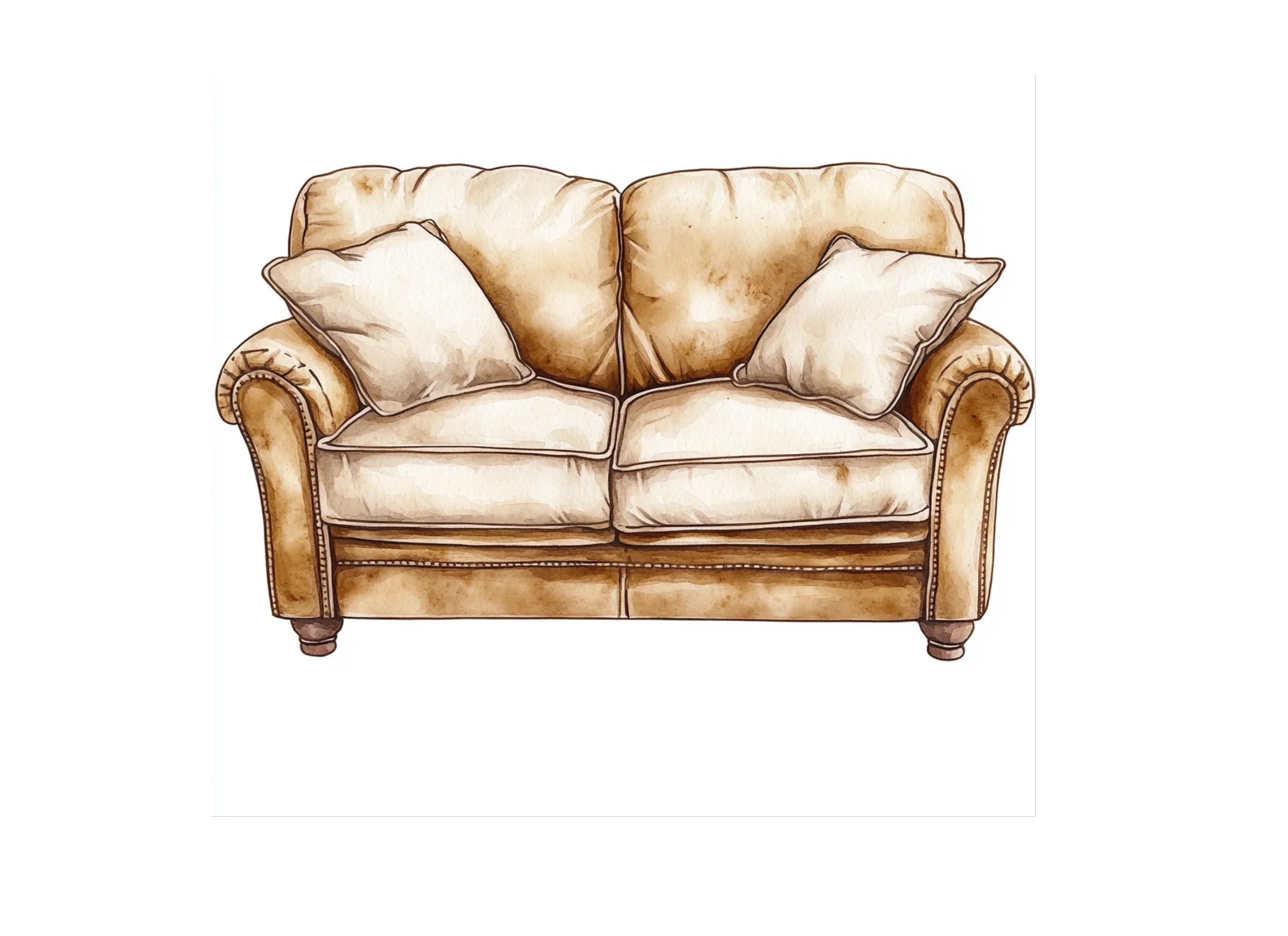Cozy Leather Sofa Clipart Bundle