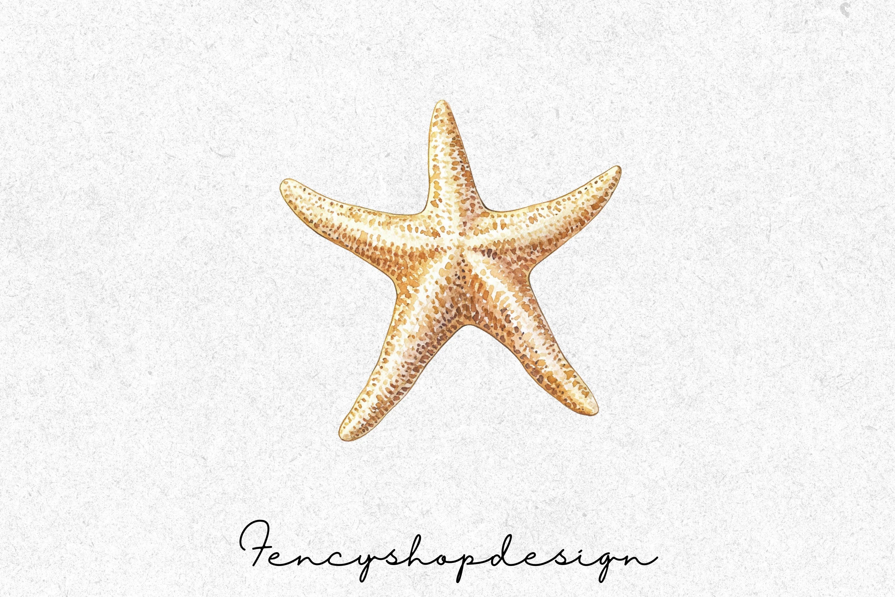 Coastal Starfish Clipart Bundle
