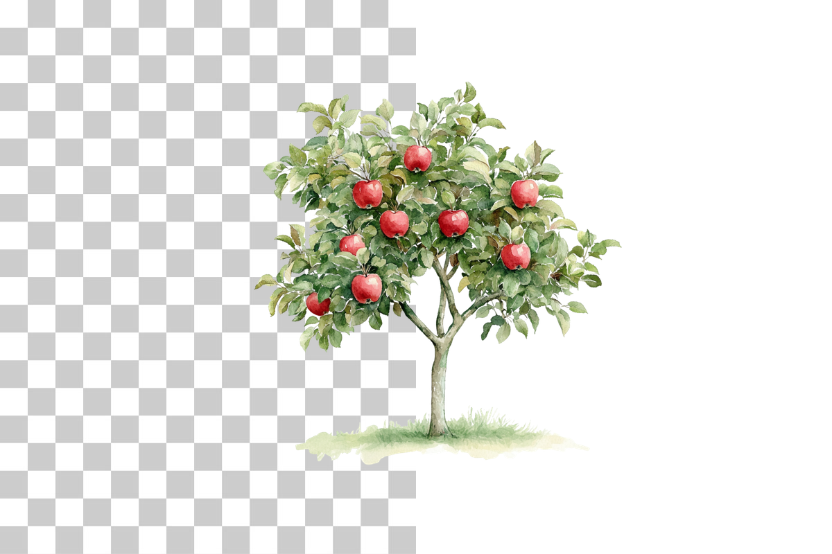 Apple Tree Harvest Scene Clipart Bundle