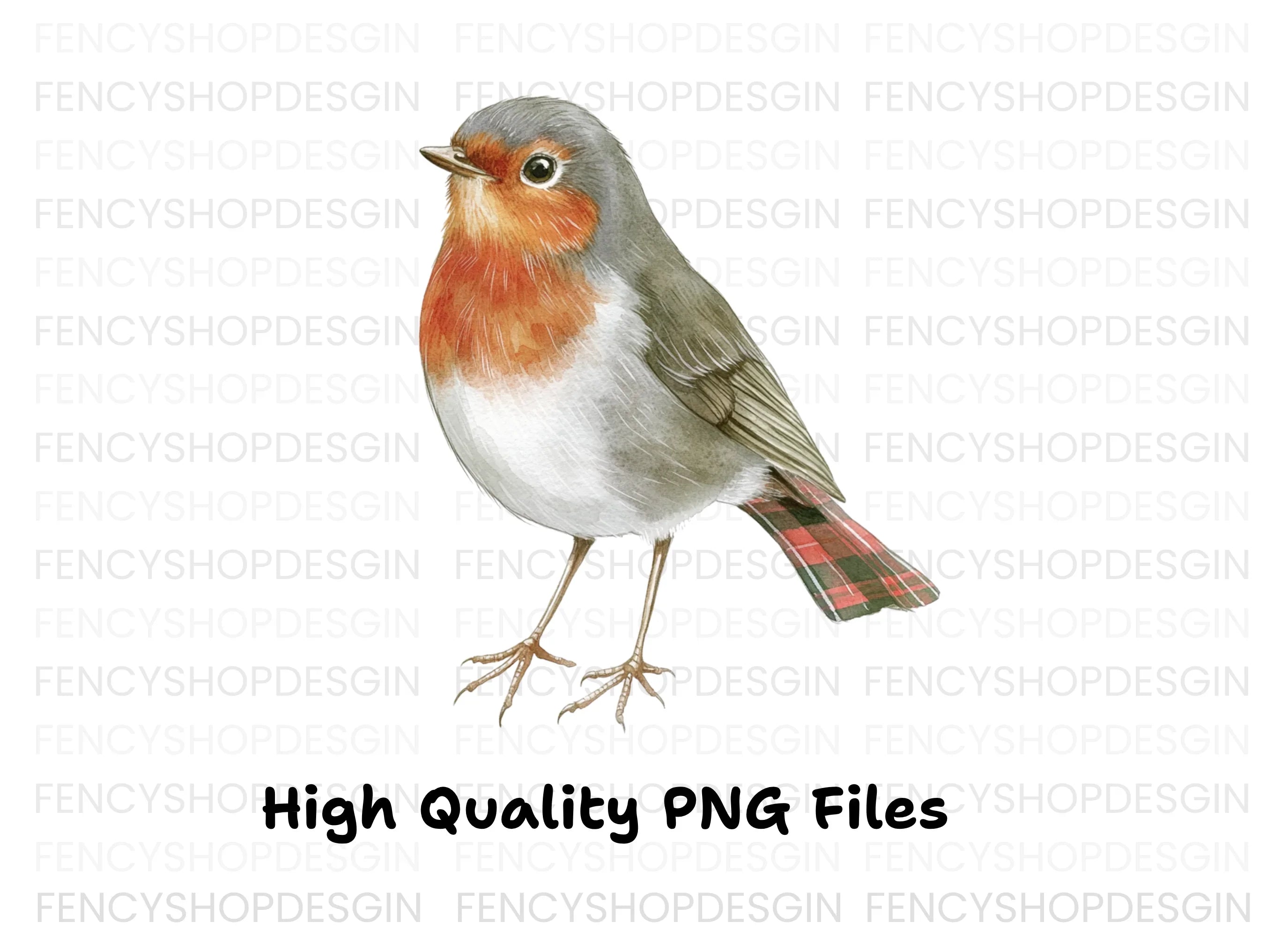 Charming Robin Bird Clipart Bundle