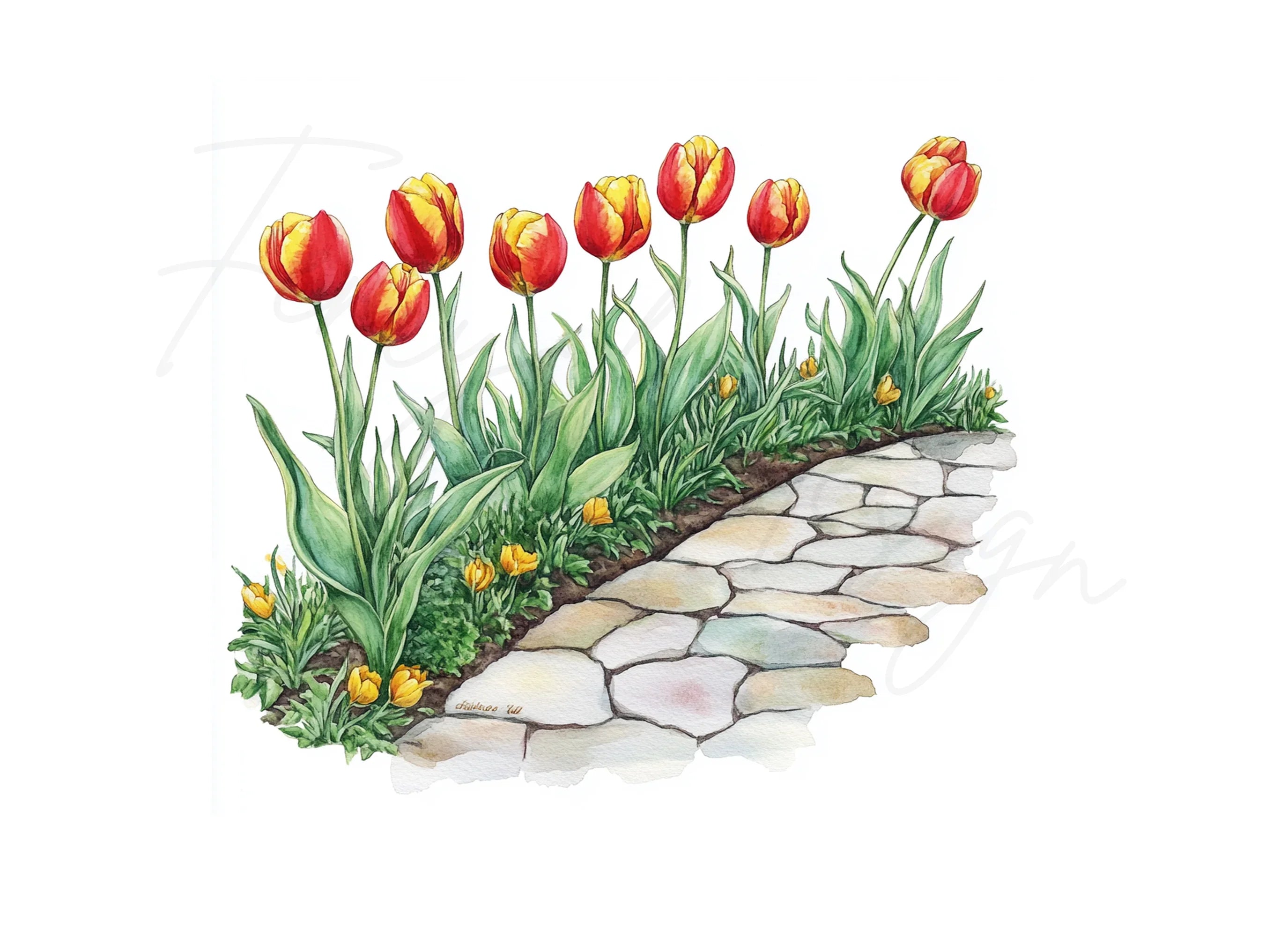 Red and Yellow Tulip Path Clipart Bundle