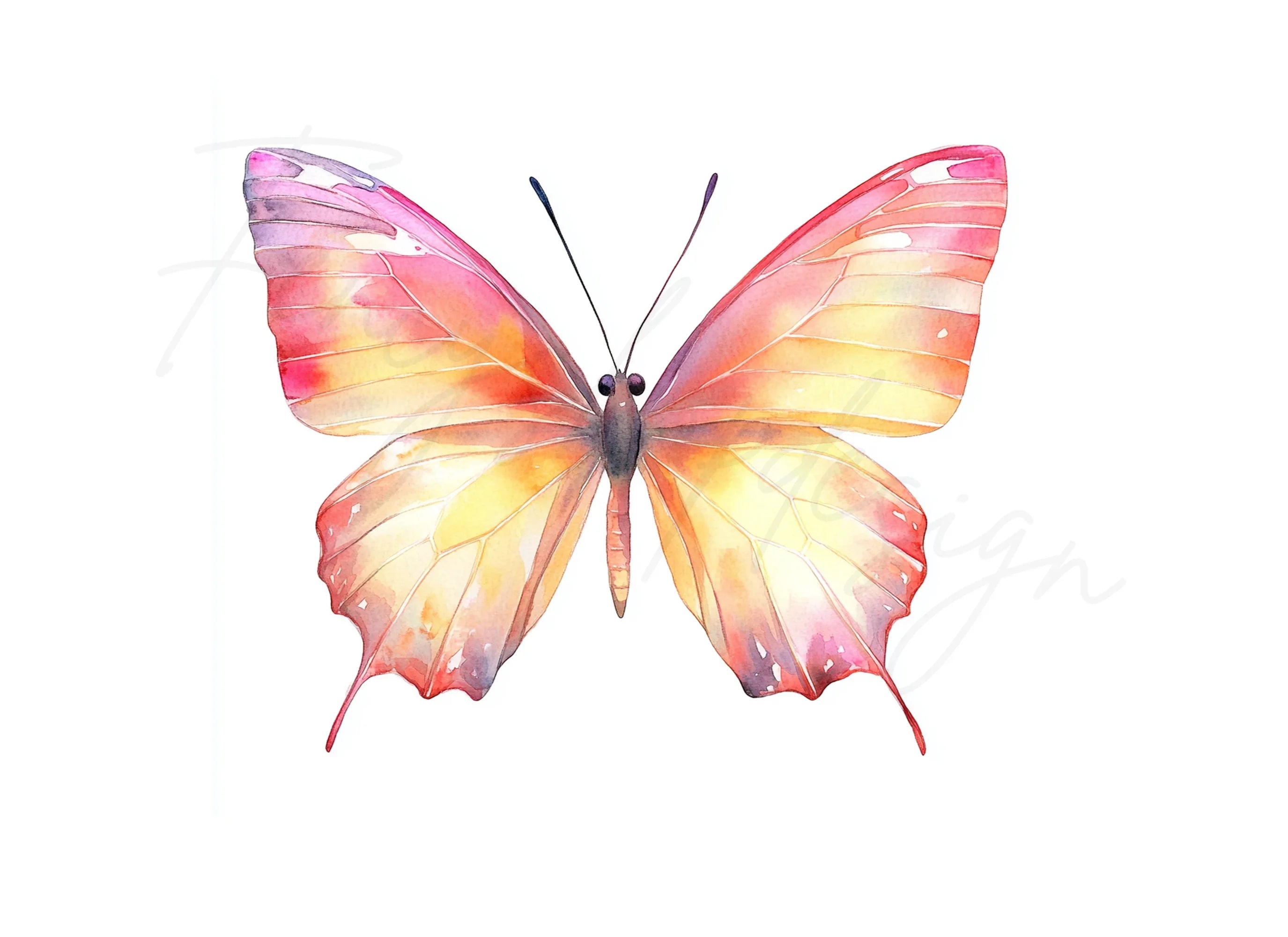 Pink and Orange Butterflies Clipart Bundle