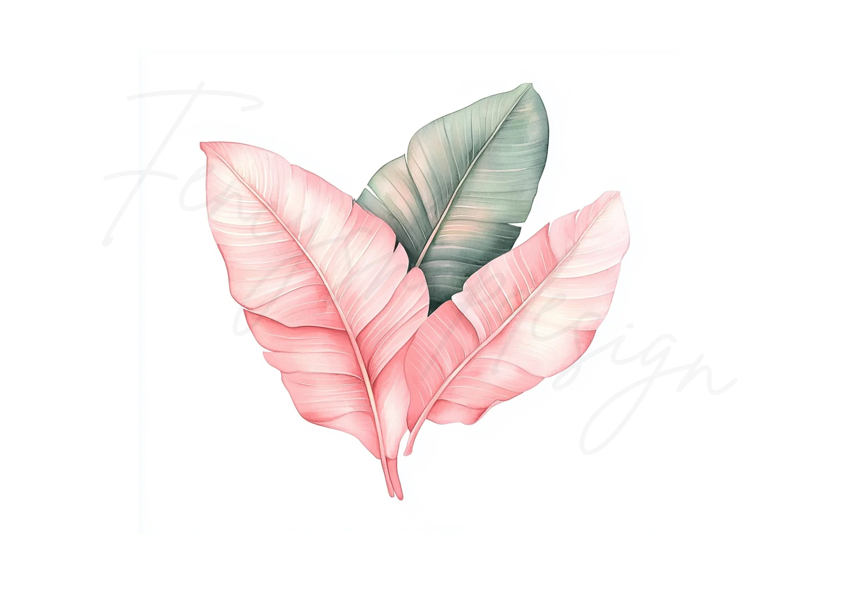 Pink and Green Tropical Leaf Clipart Bundle
