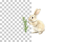 Charming Clipart Collection Bundle - CraftNest - Digital Crafting and Art