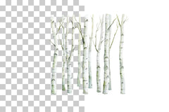 Birch Forest Paper Clipart Bundle - CraftNest - Digital Crafting and Art