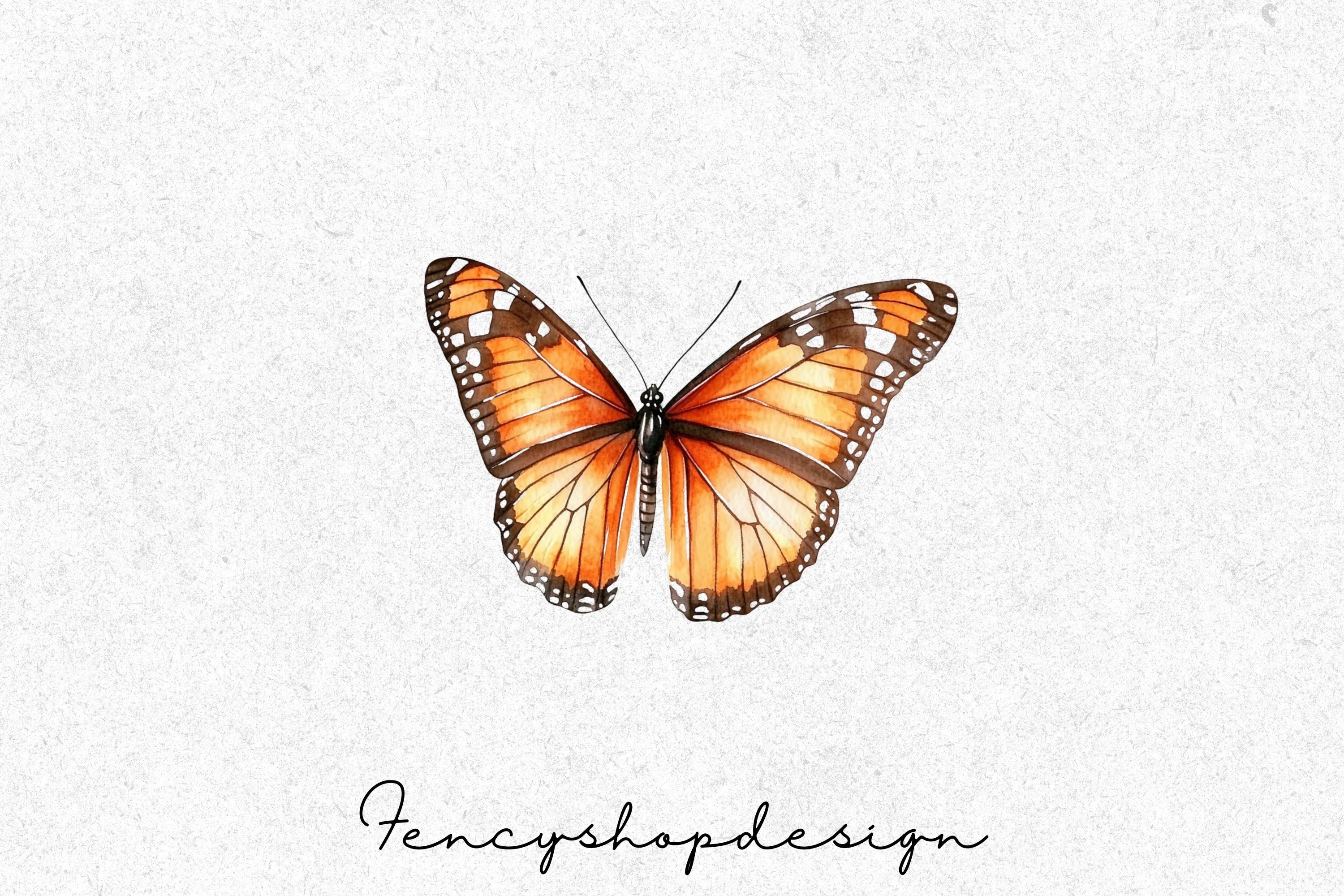 Monarch Butterfly Clipart Bundle