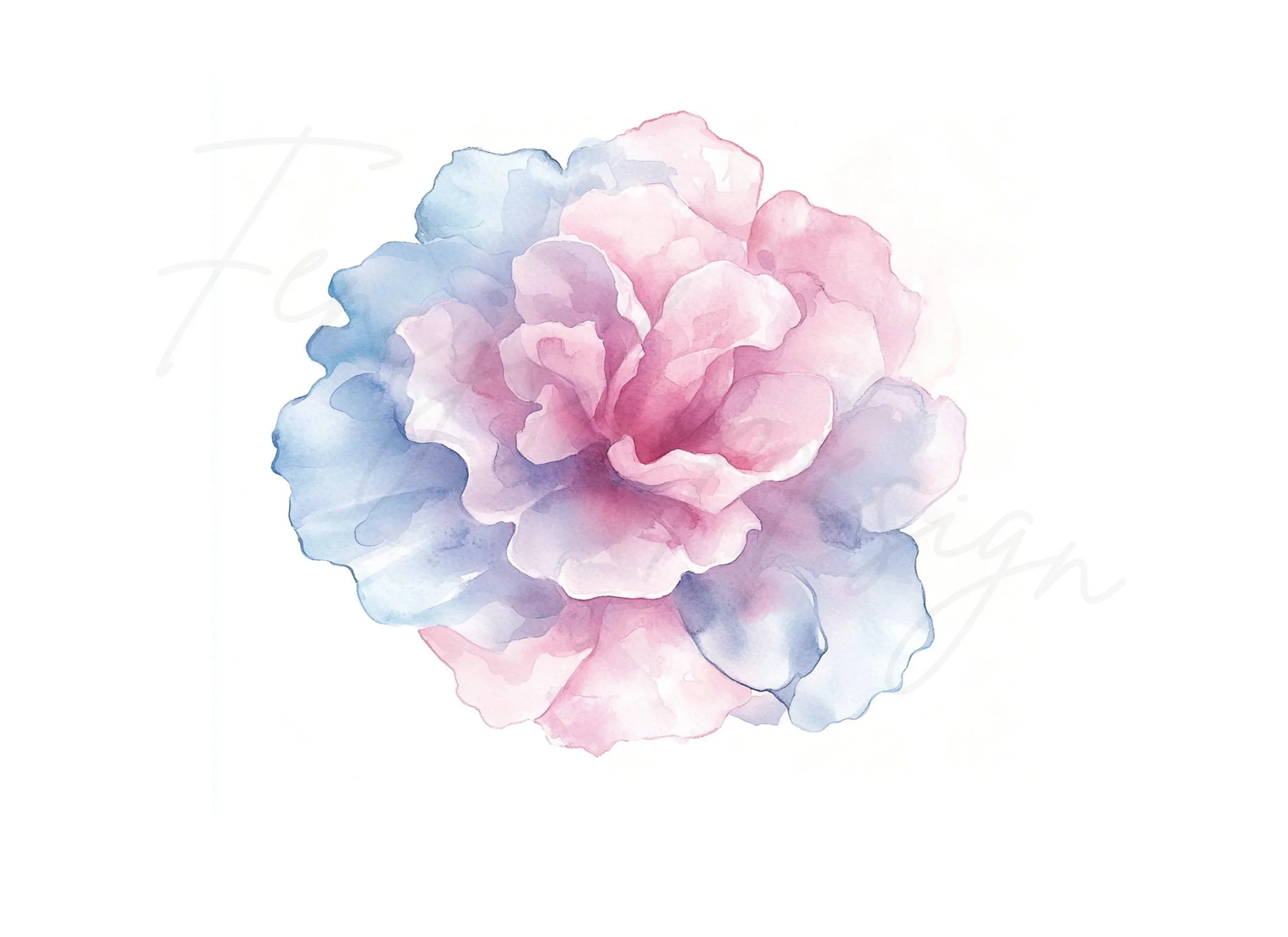 Floral Bloom Clipart Bundle