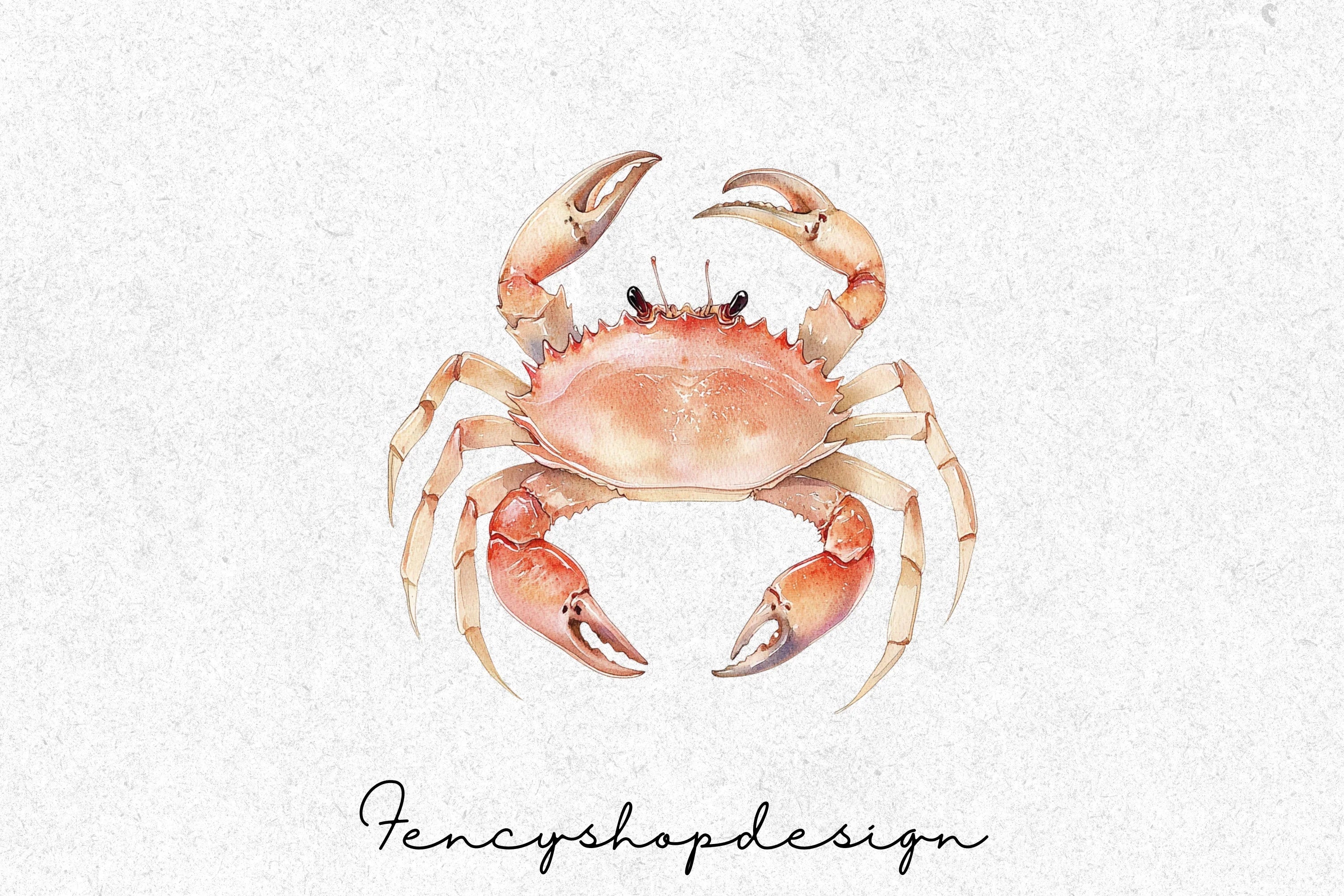 Realistic Crab Clipart Bundle